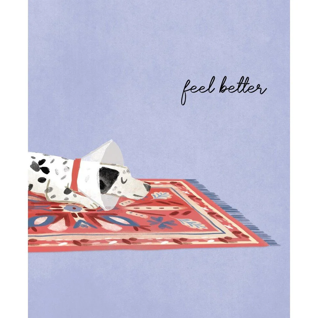 Feel Better Dog Cone Card - Image 2