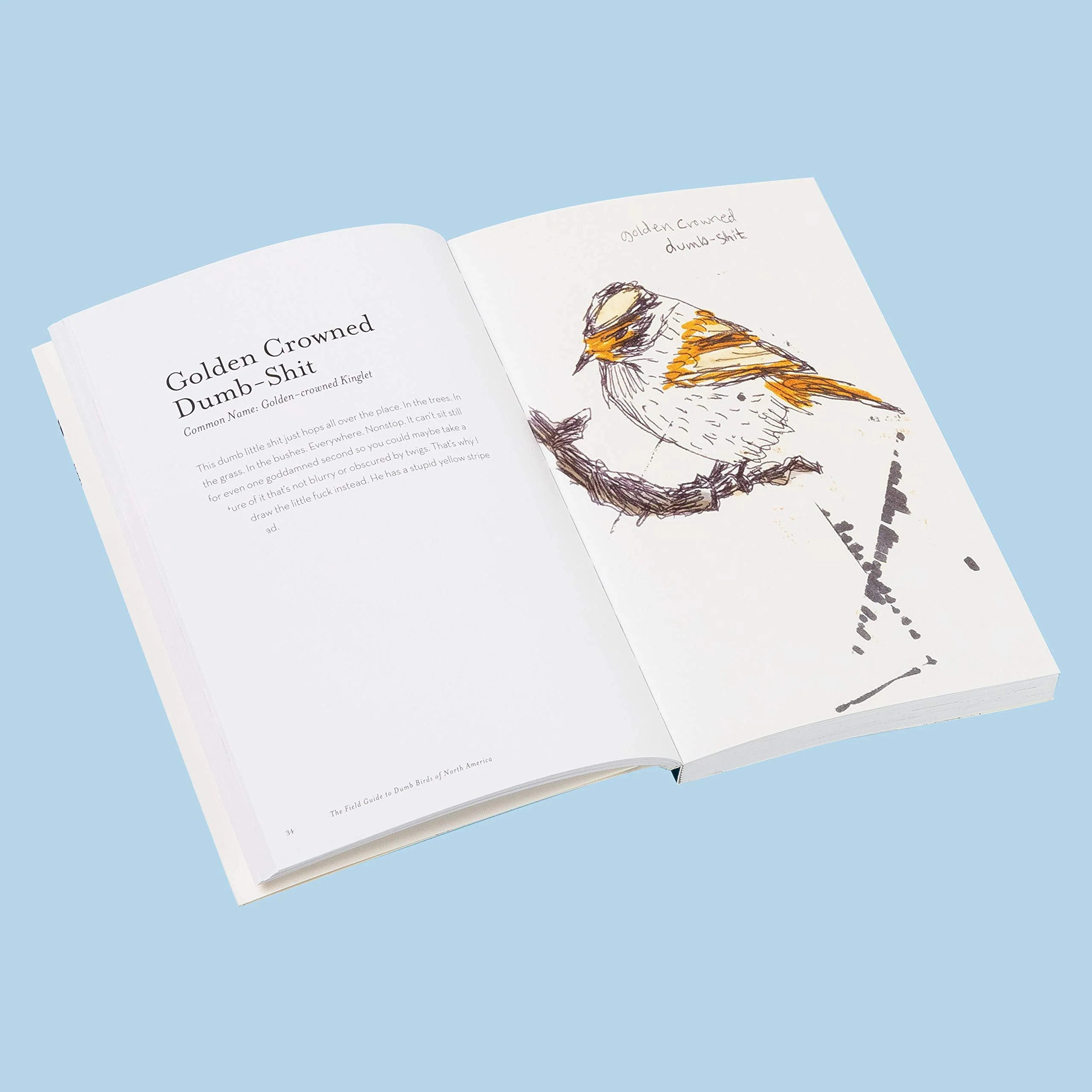 Field Guide to Dumb Birds of North America - Image 2