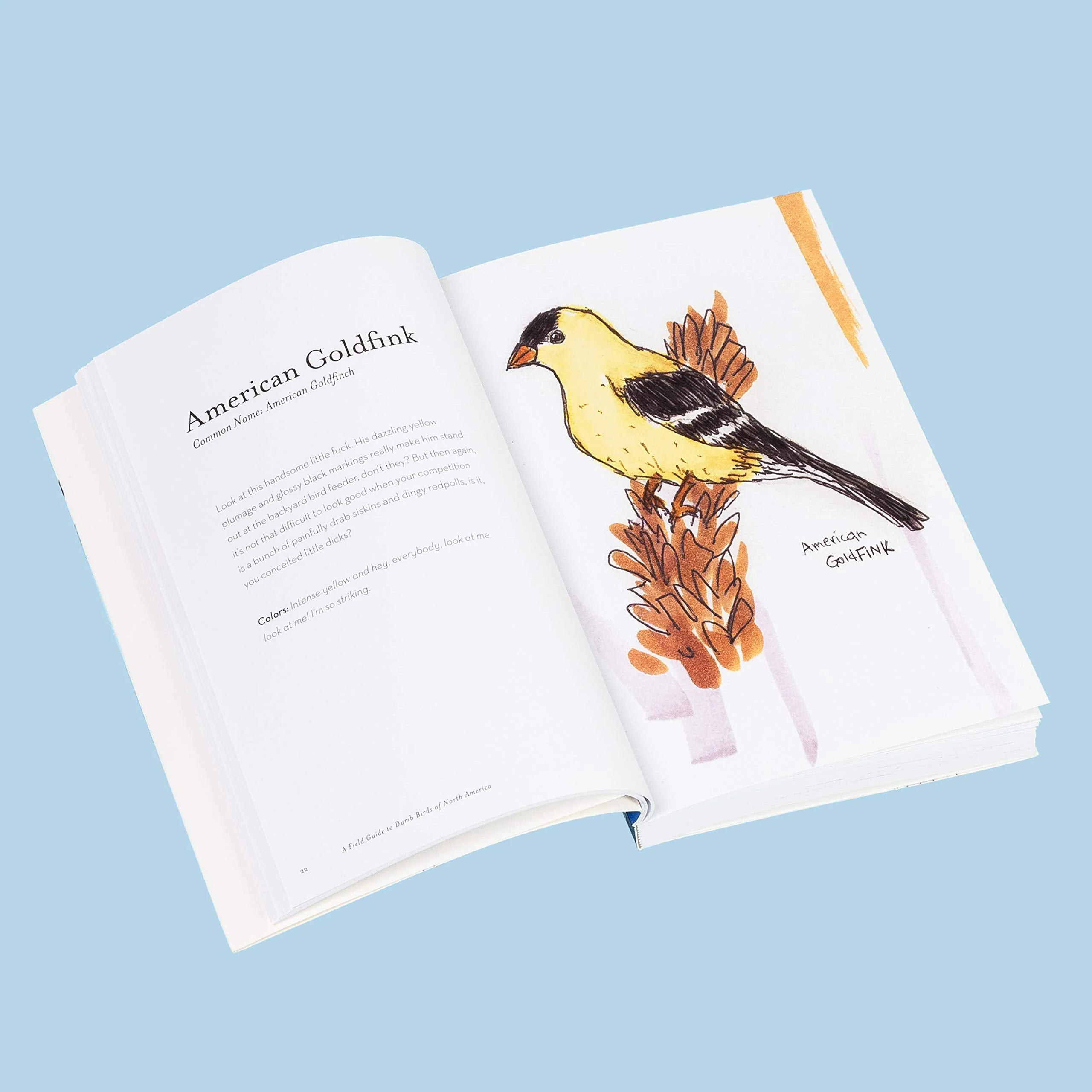 Field Guide to Dumb Birds of North America - Image 3