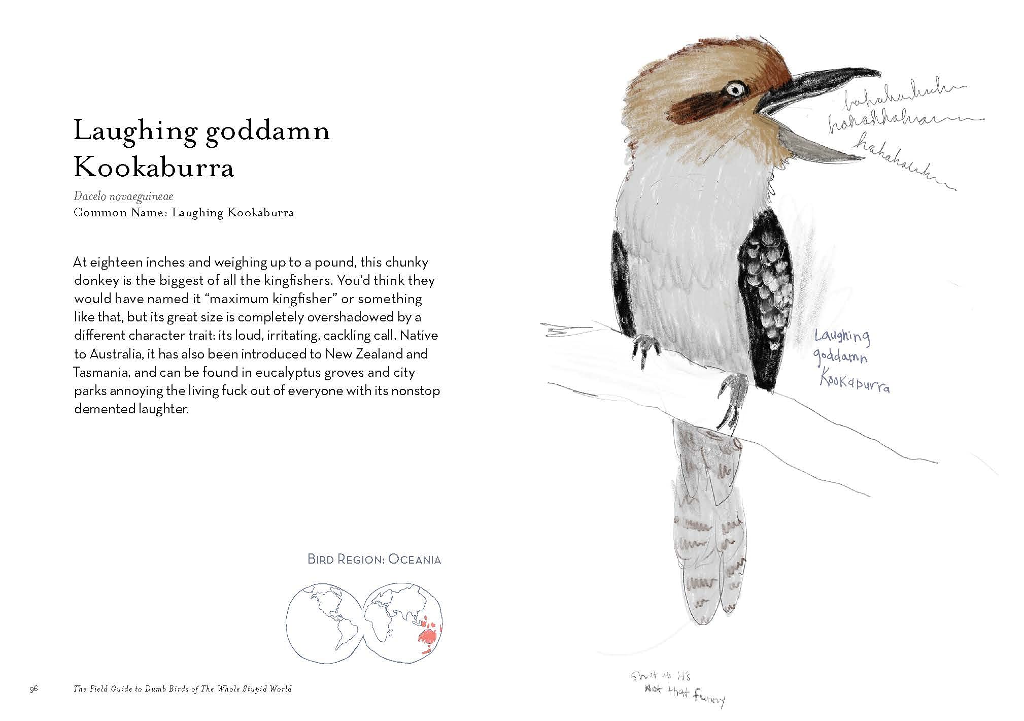Field Guide to Dumb Birds of the Whole Stupid World - Image 2