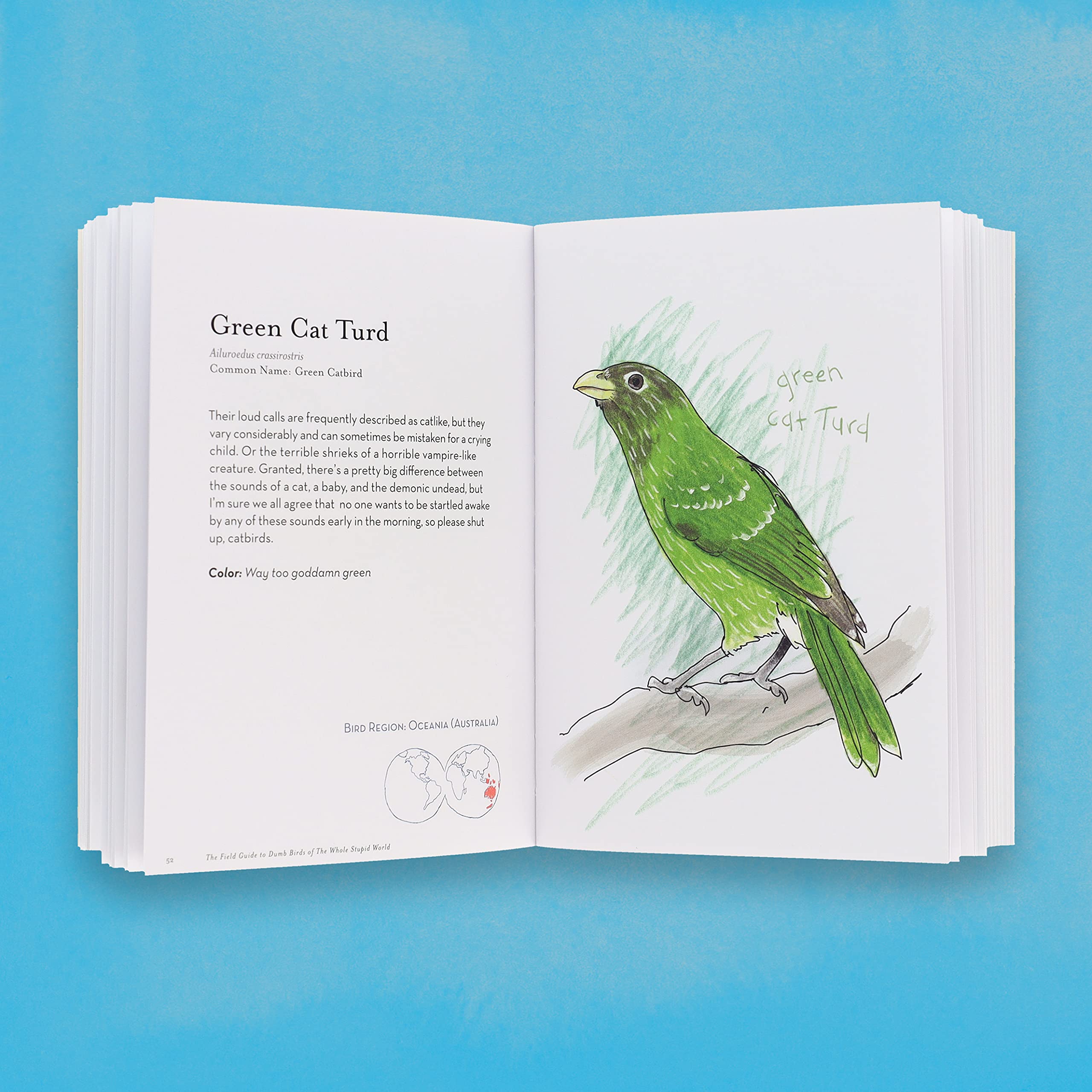 Field Guide to Dumb Birds of the Whole Stupid World - Image 3