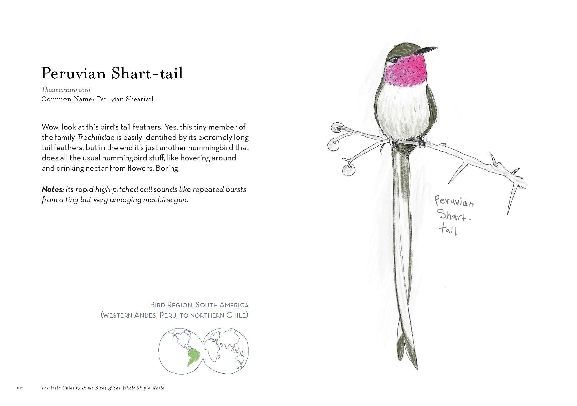 Field Guide to Dumb Birds of the Whole Stupid World - Image 4