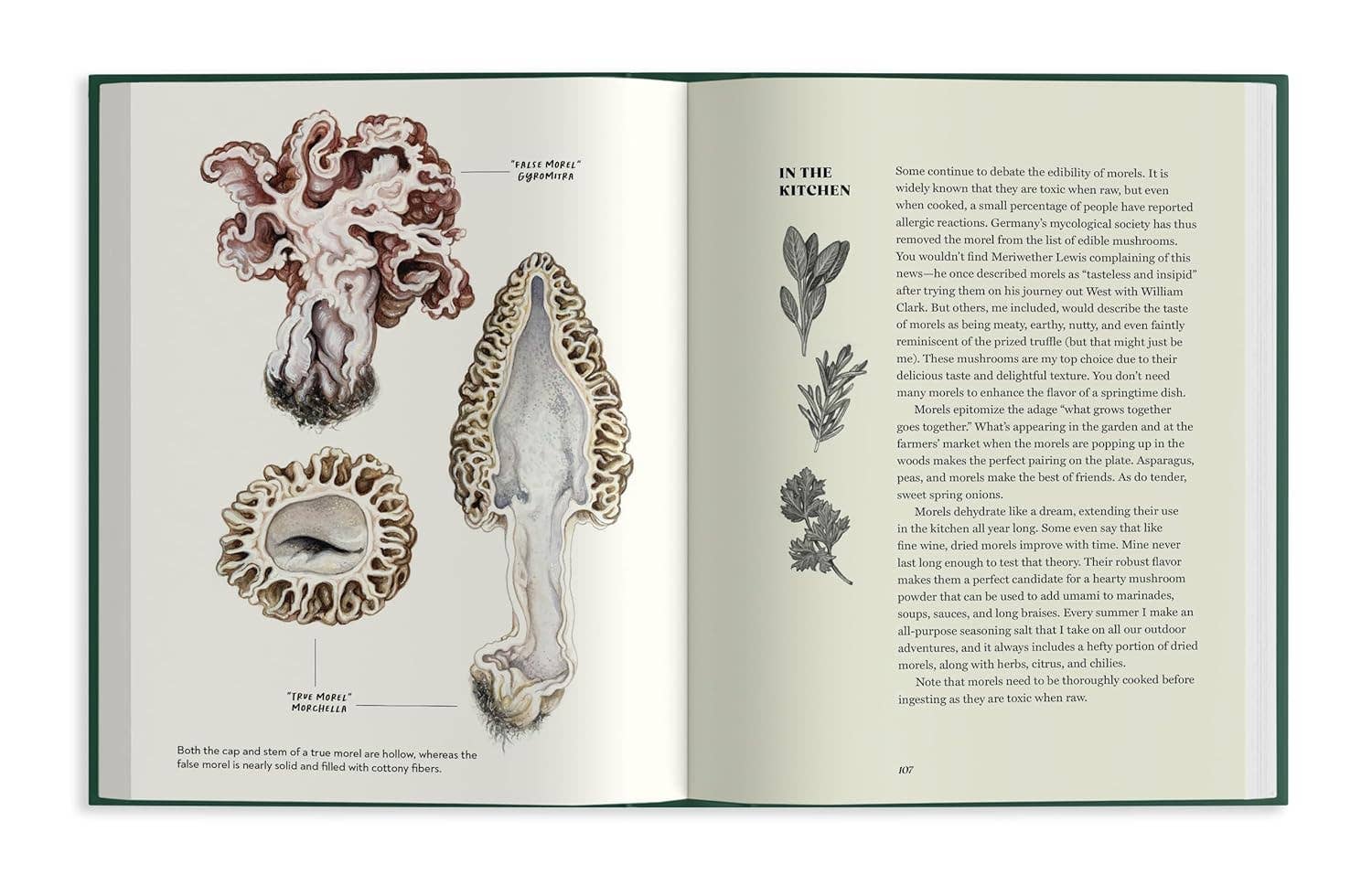 Field Notes From a Fungi Forager - Image 5