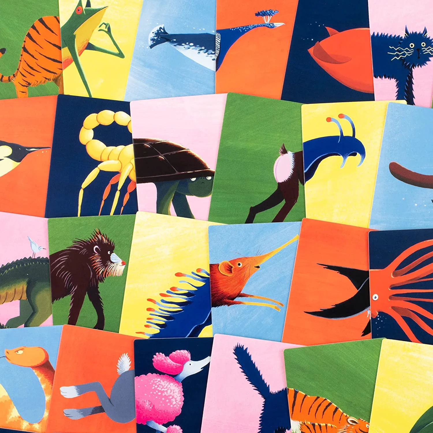 Find My Behind: An Animal Memory Game - Image 4