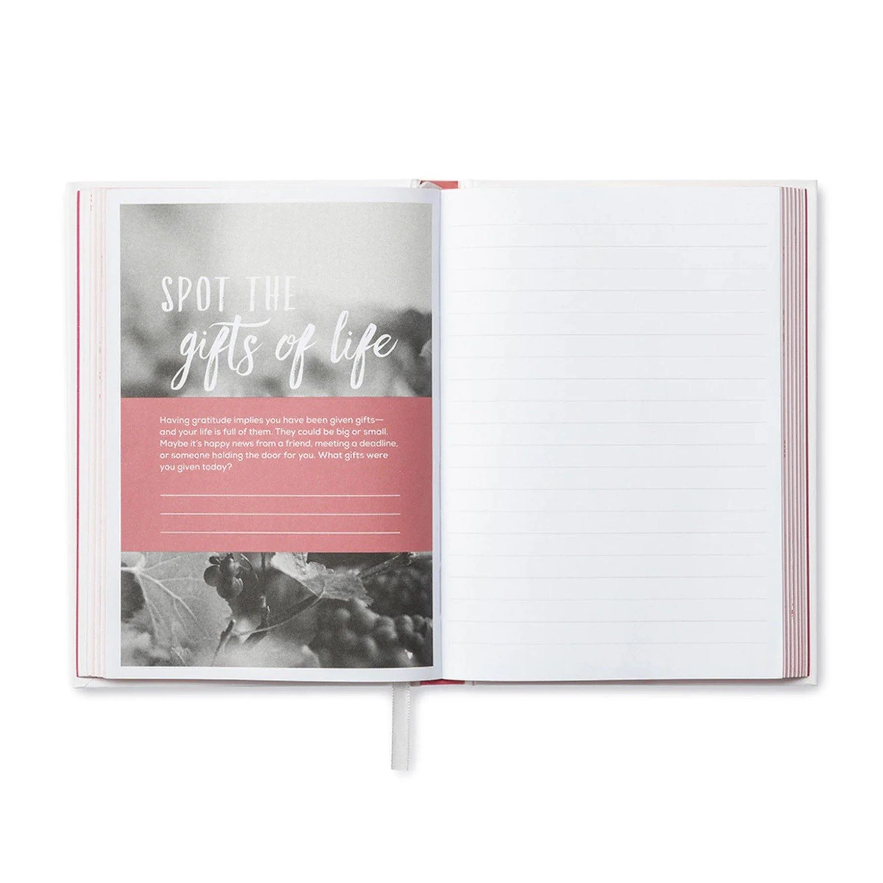 Finding Gratitude Journal - Image 2