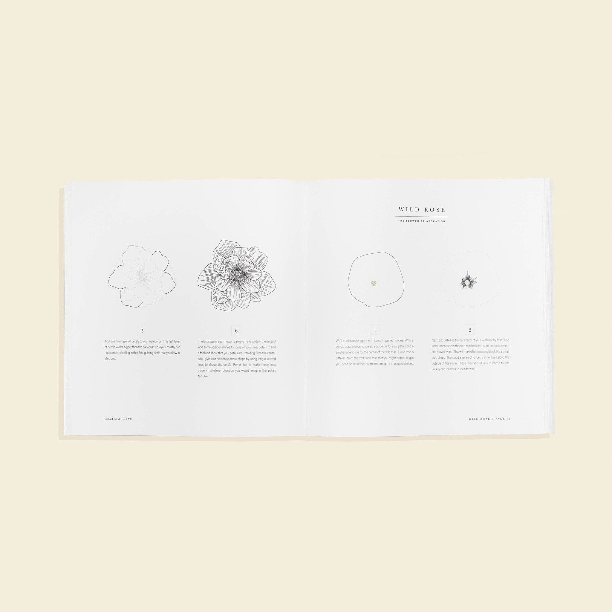 Florals By Hand: How to Draw and Design Modern Floral Projects - Image 2