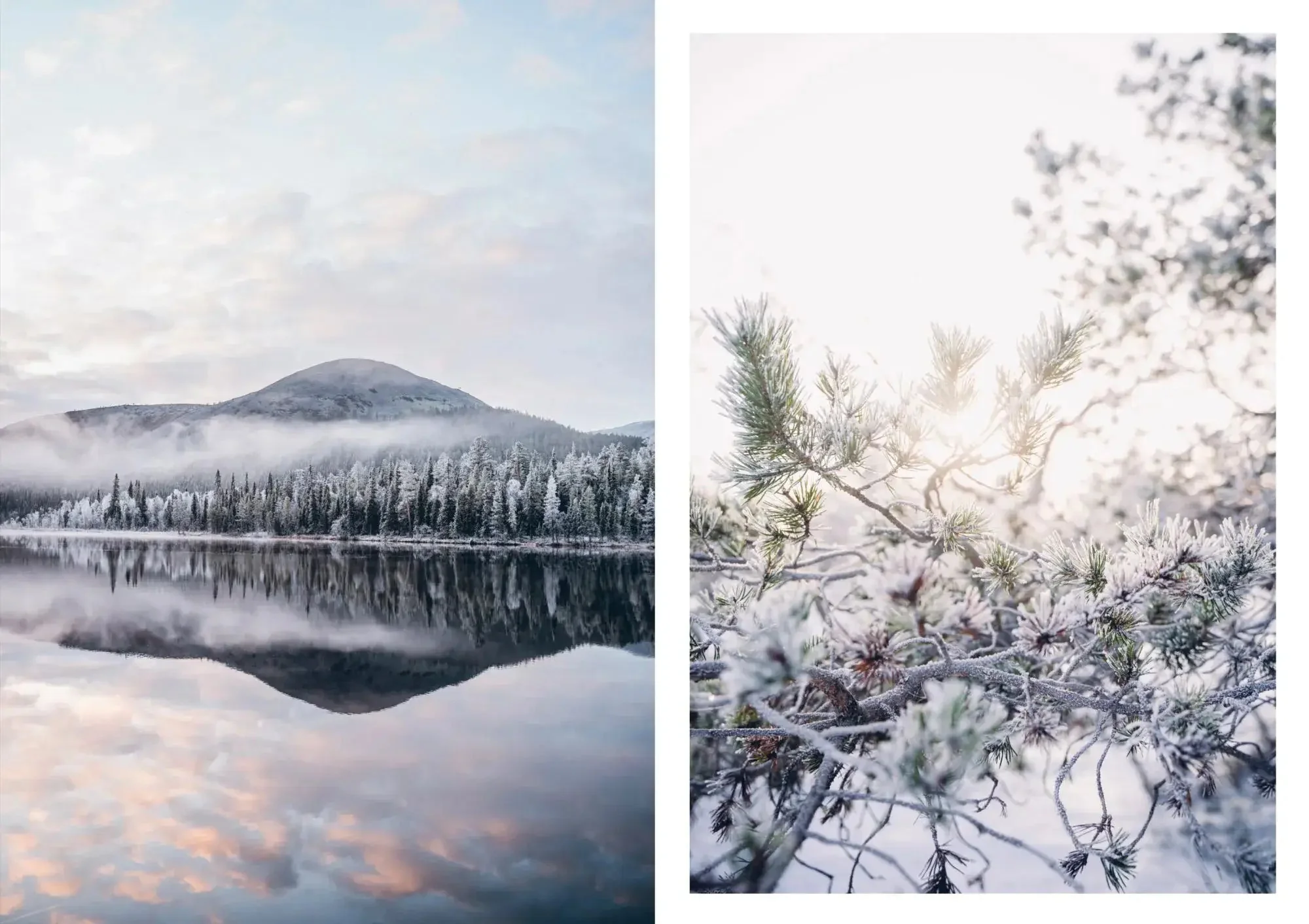 Food In The Woods: Vegetarian Recipes from Easy Snacks to Hiking Meals - Image 3