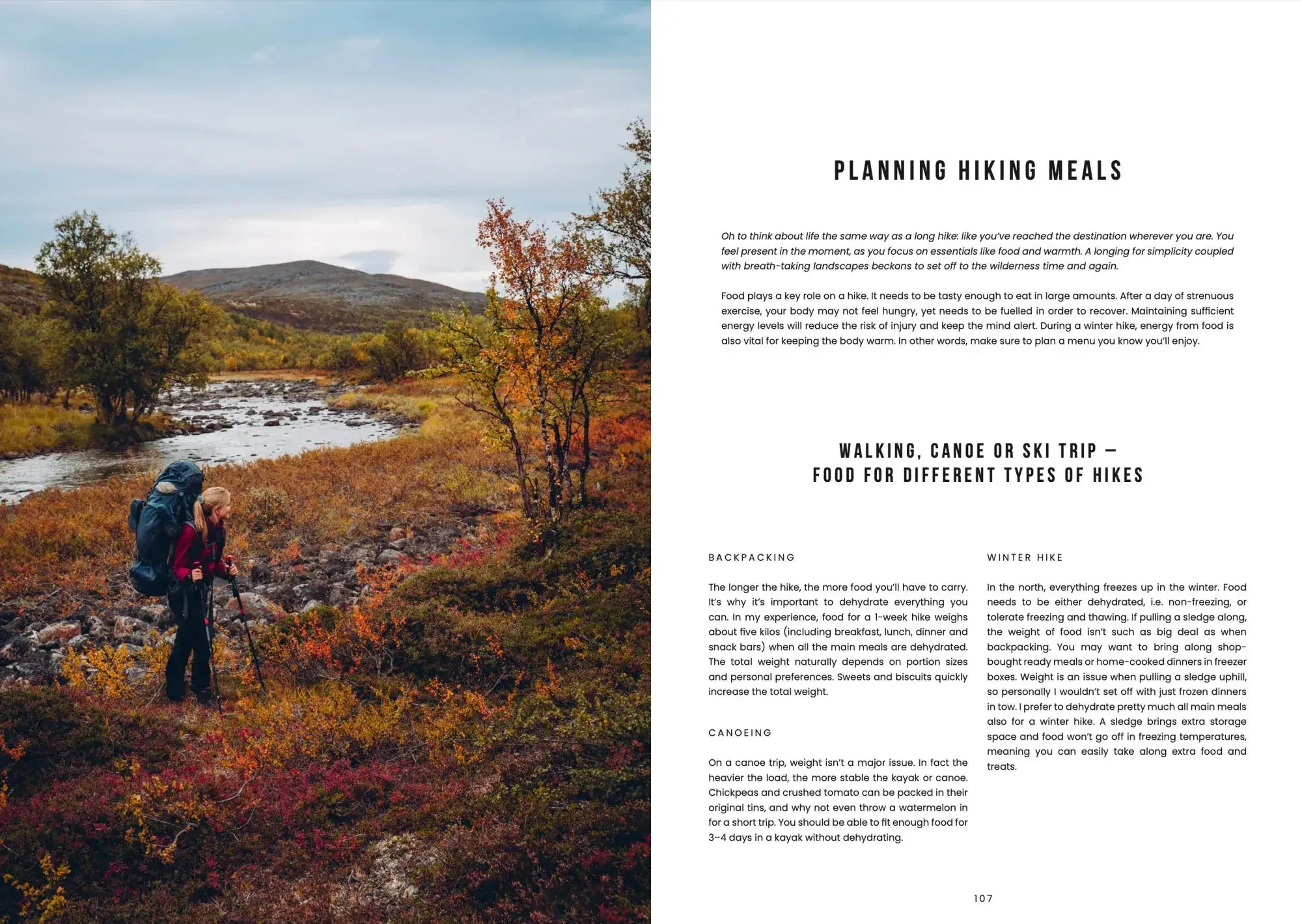 Food In The Woods: Vegetarian Recipes from Easy Snacks to Hiking Meals - Image 8
