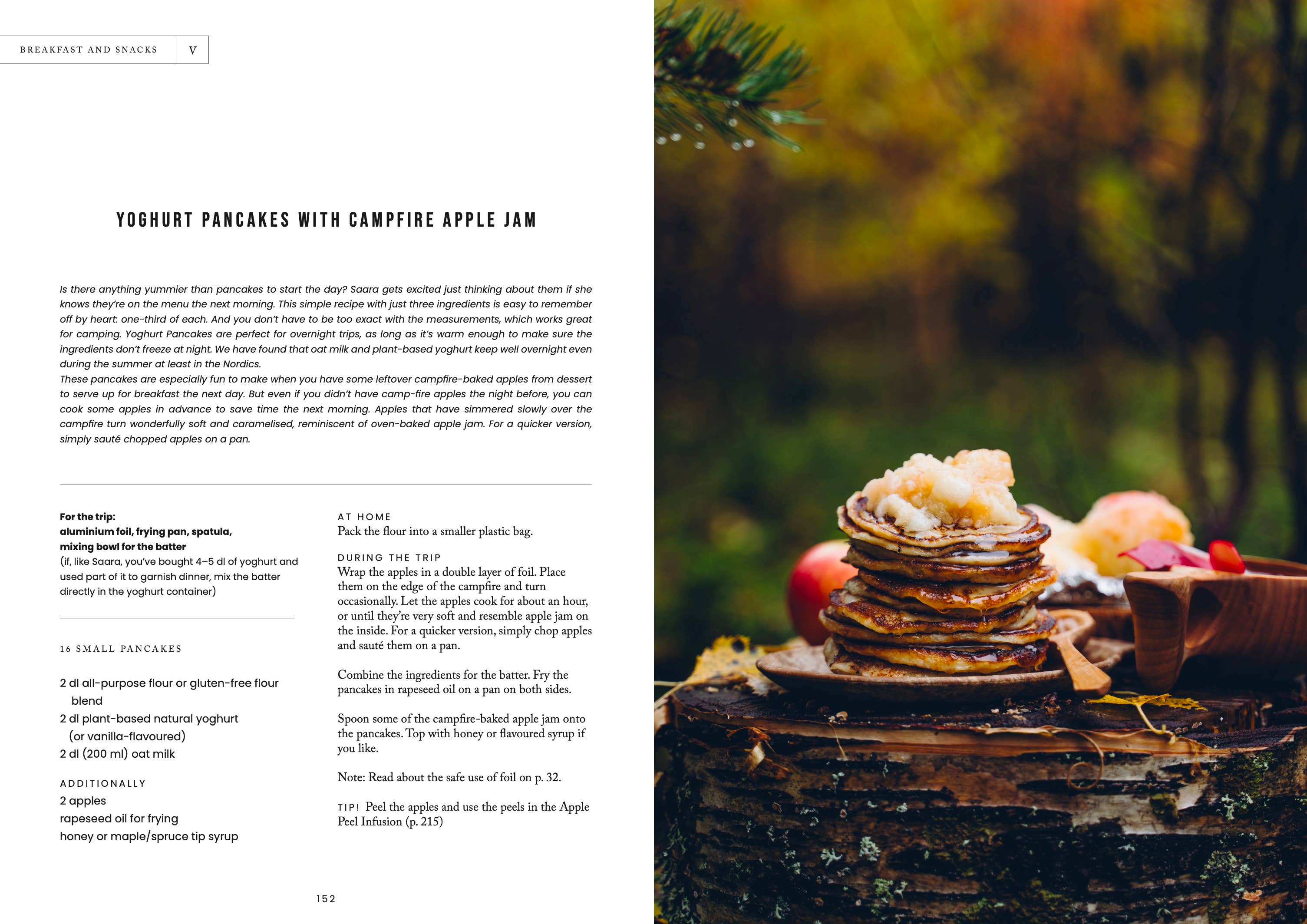 Food Over the Campfire - Image 11