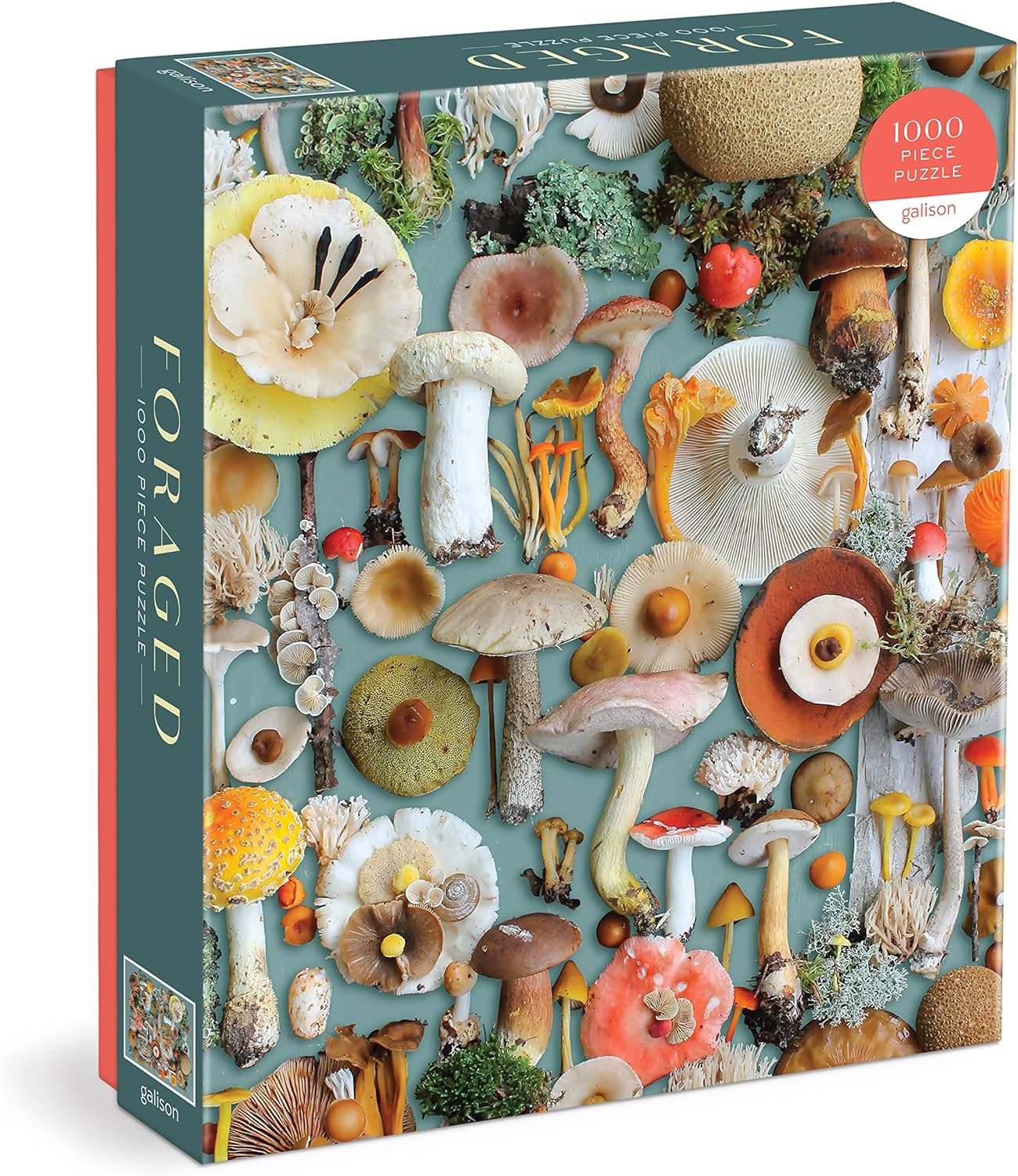 Foraged Mushroom Puzzle - Image 2