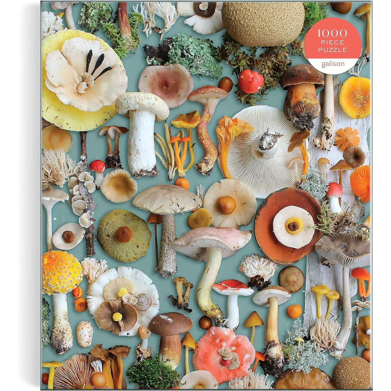 Foraged Mushroom Puzzle - Image 3