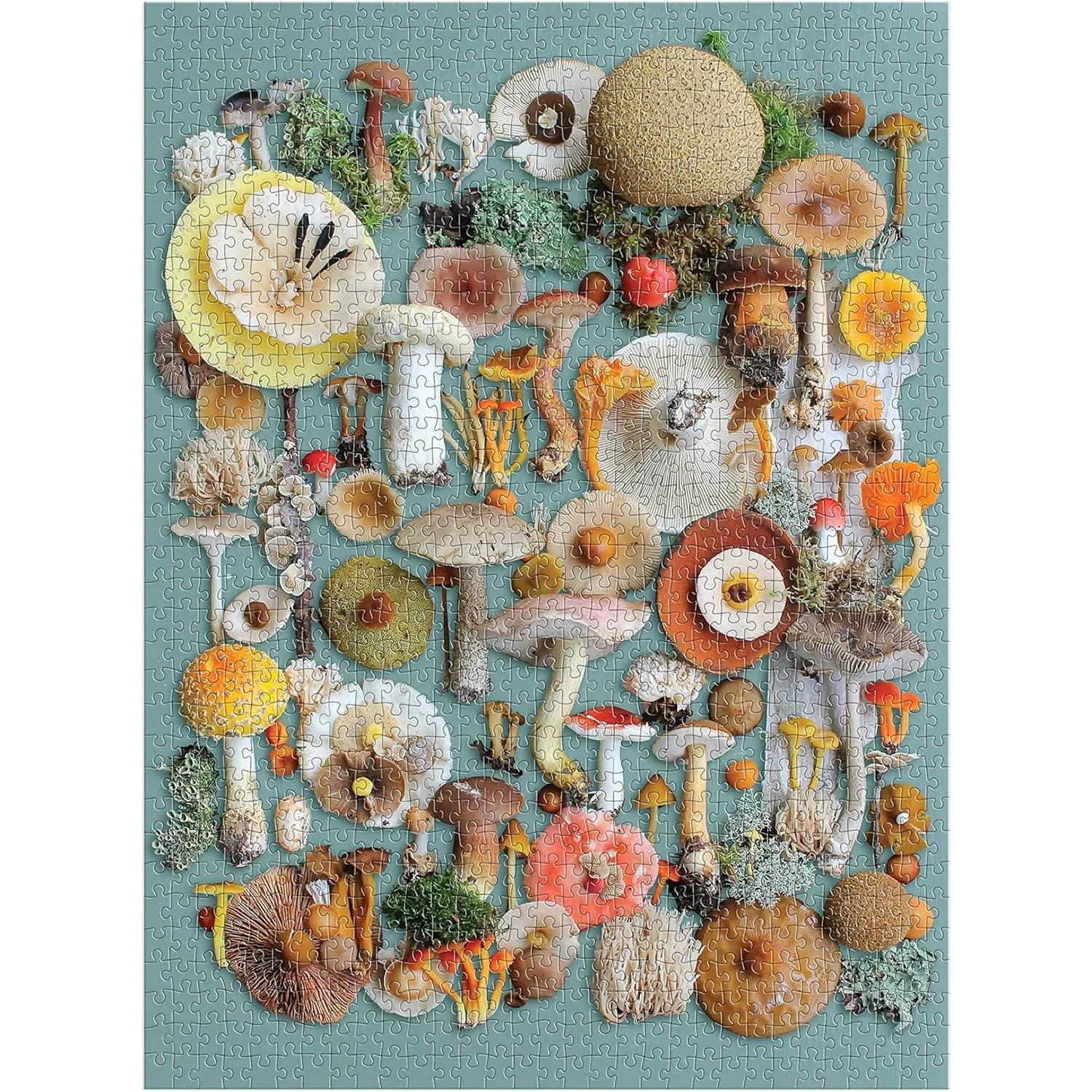 Foraged Mushroom Puzzle - Image 4