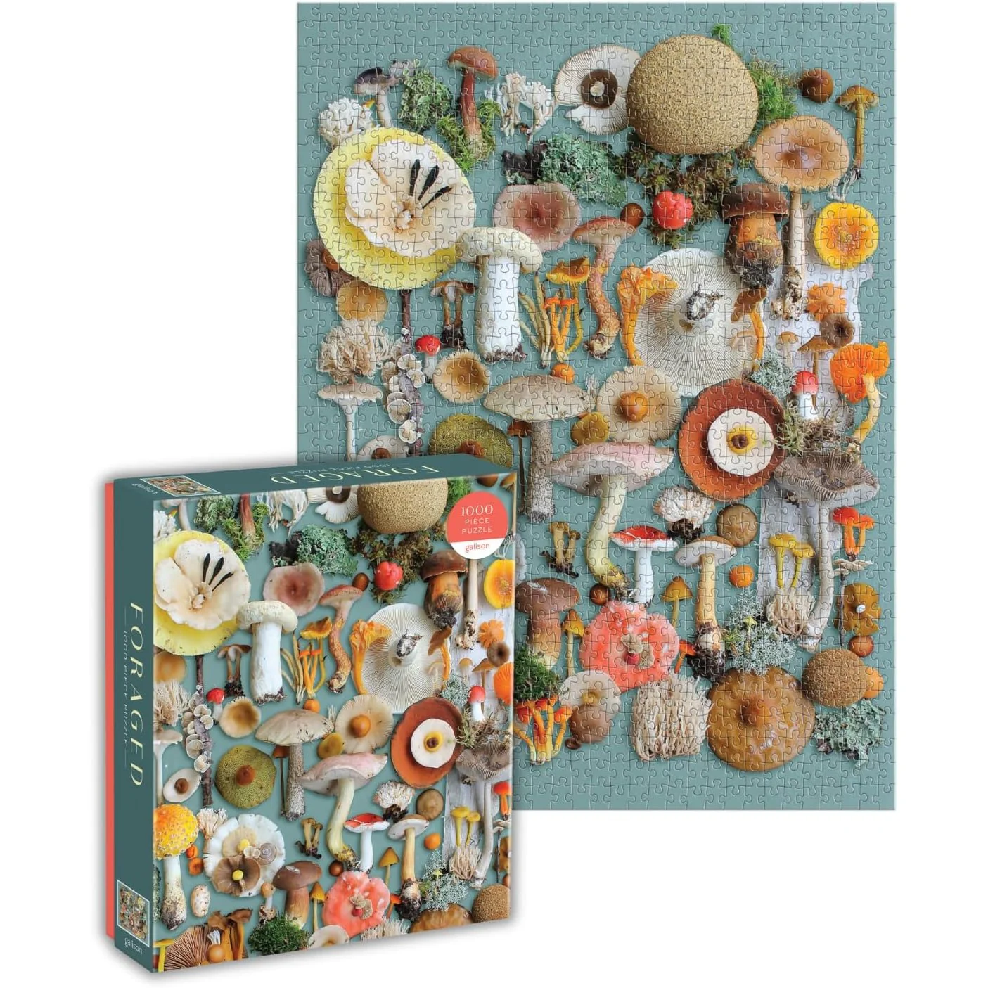 Foraged Mushroom Puzzle - Image 5