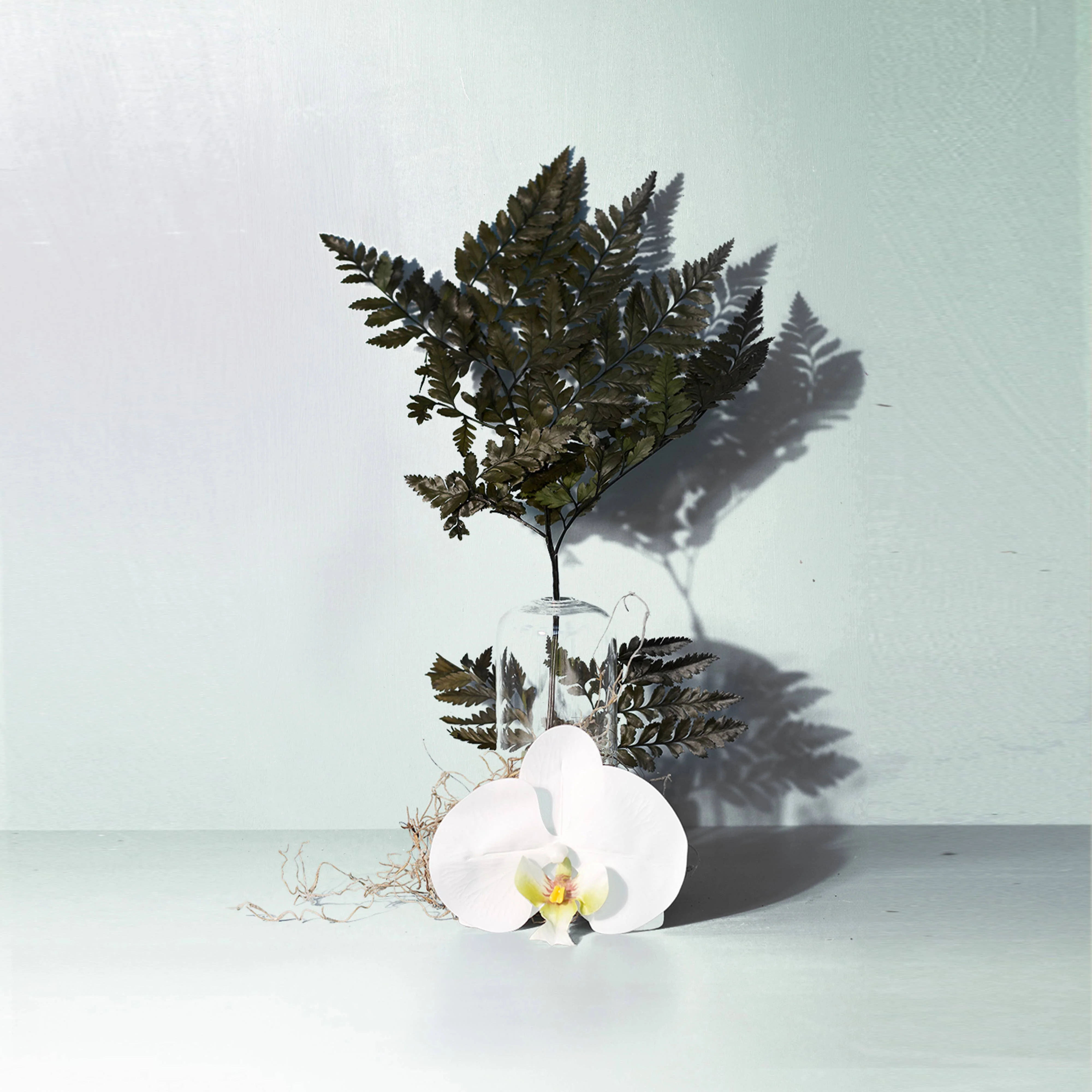 Forest Fern Candle - Image 2