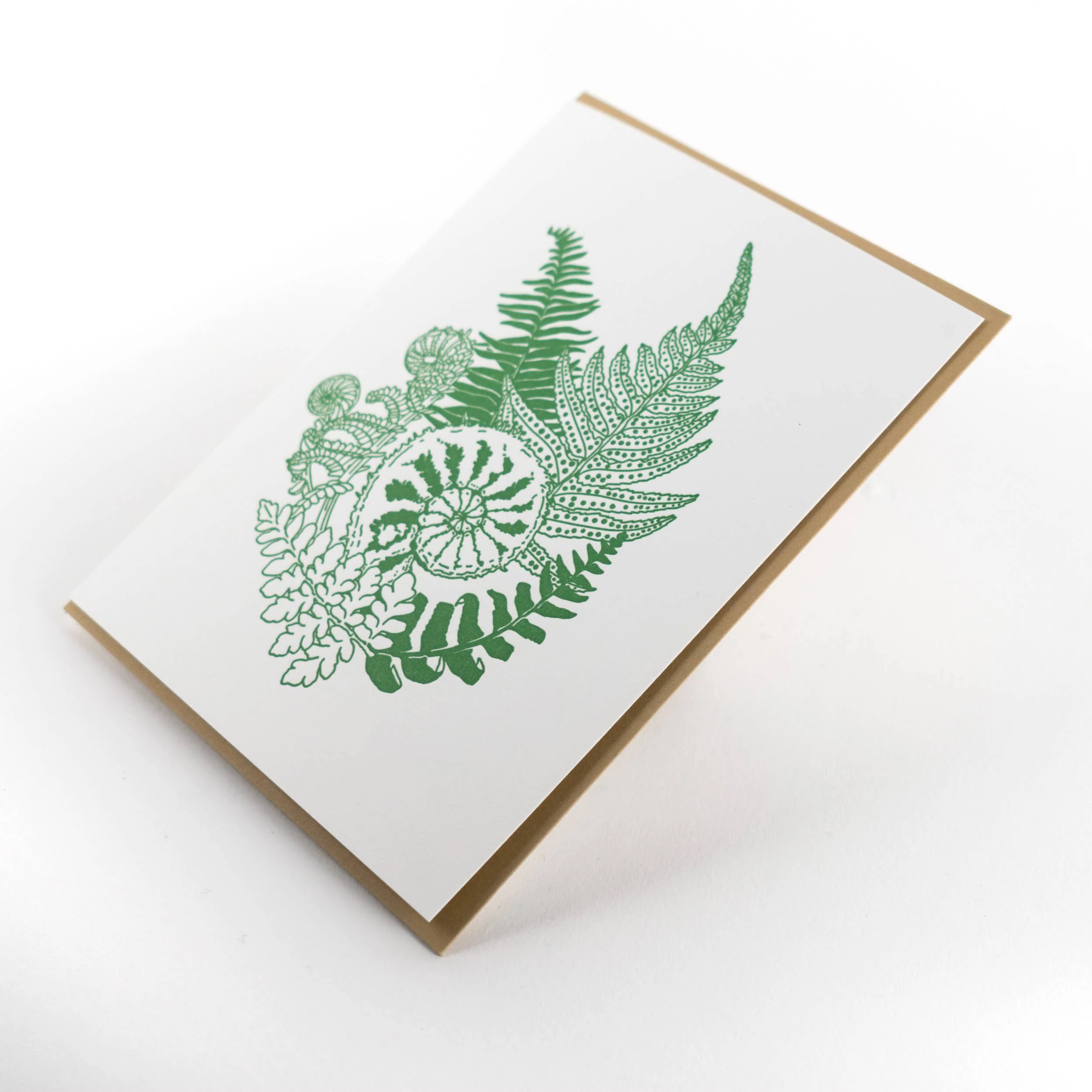 Forest Fern Card - Image 2