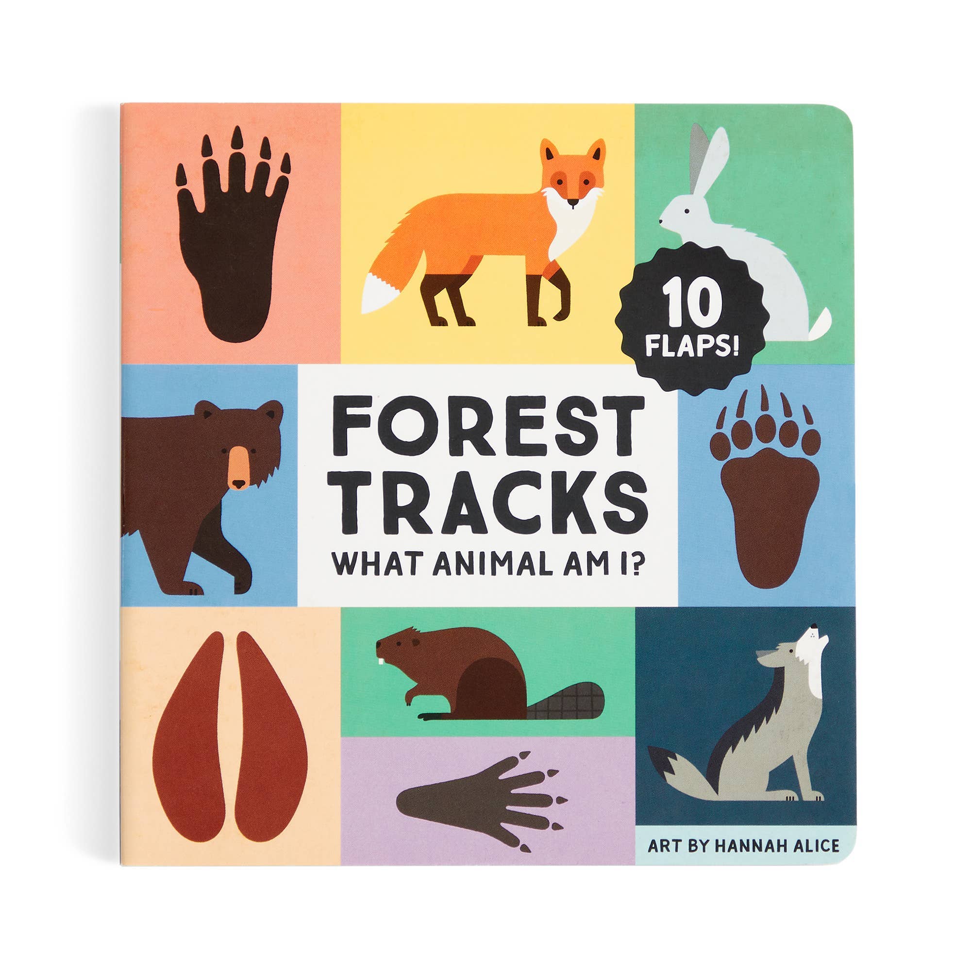 Forest Tracks: What Animal Am I? Lift-the-Flap Board Book - Image 4