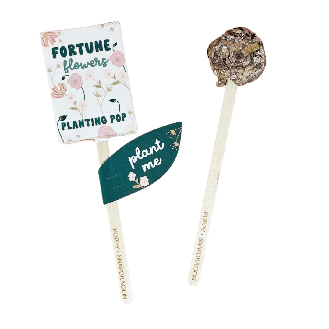 Planting Pops - Image 4