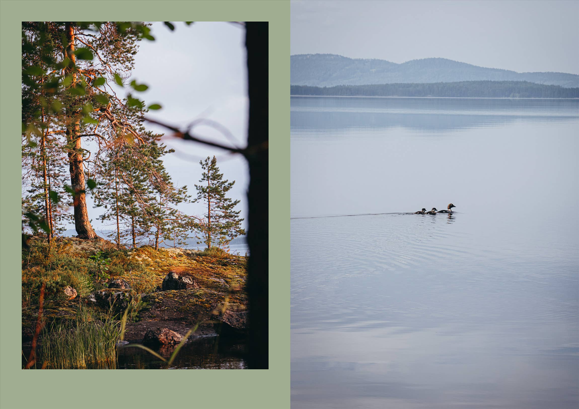 Four Seasons of Cabin Cooking - Image 11