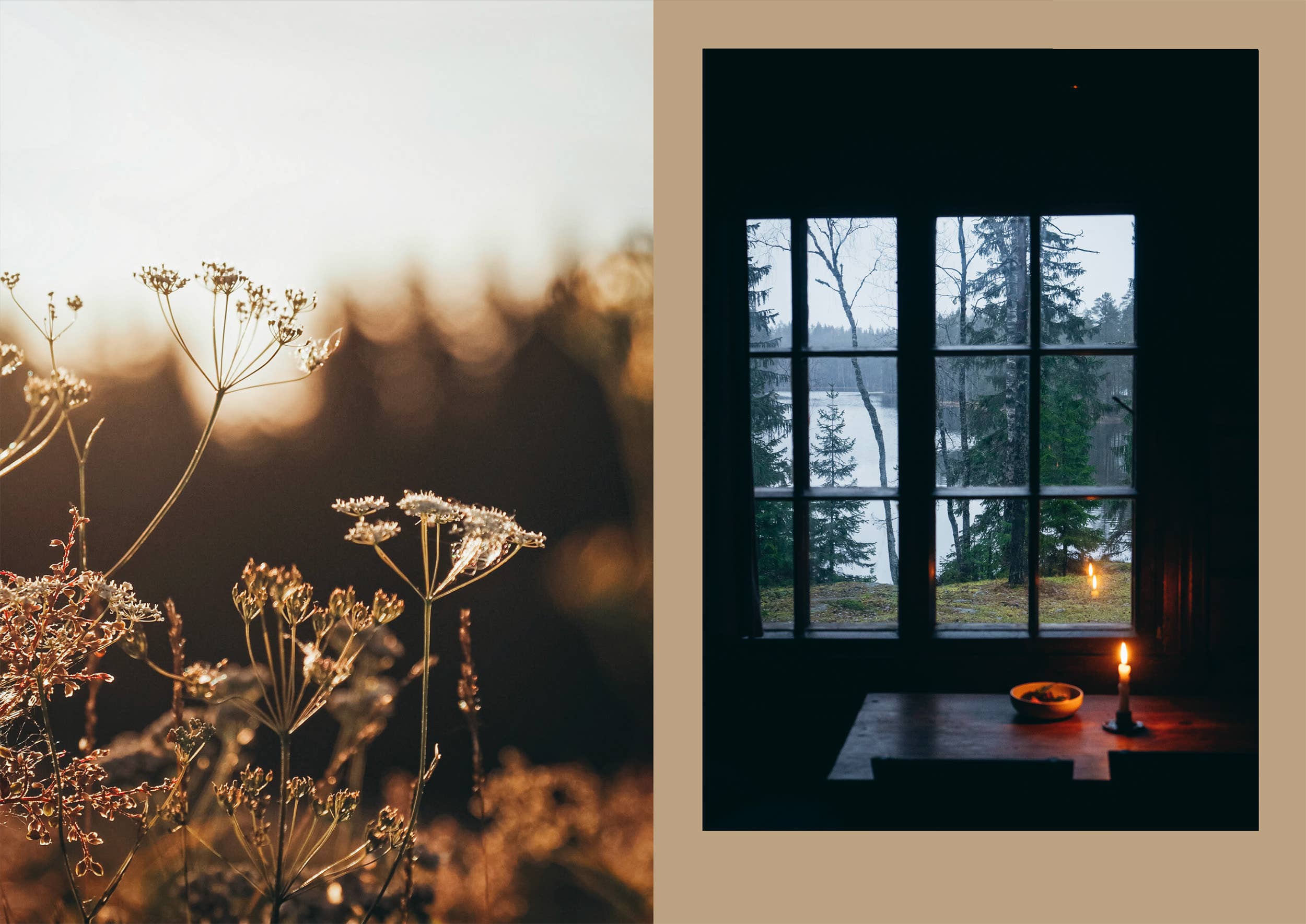 Four Seasons of Cabin Cooking - Image 8