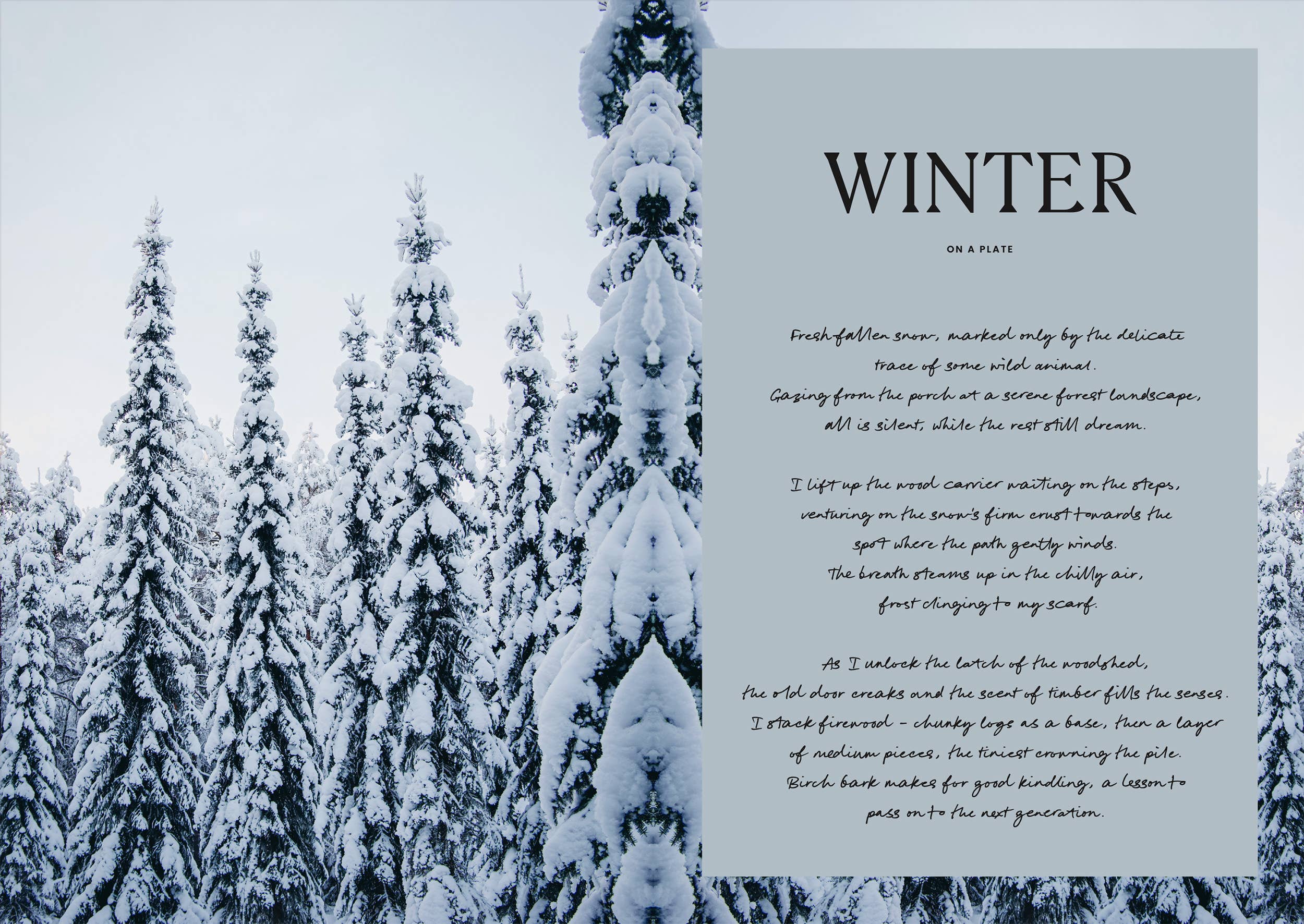 Four Seasons of Cabin Cooking - Image 9