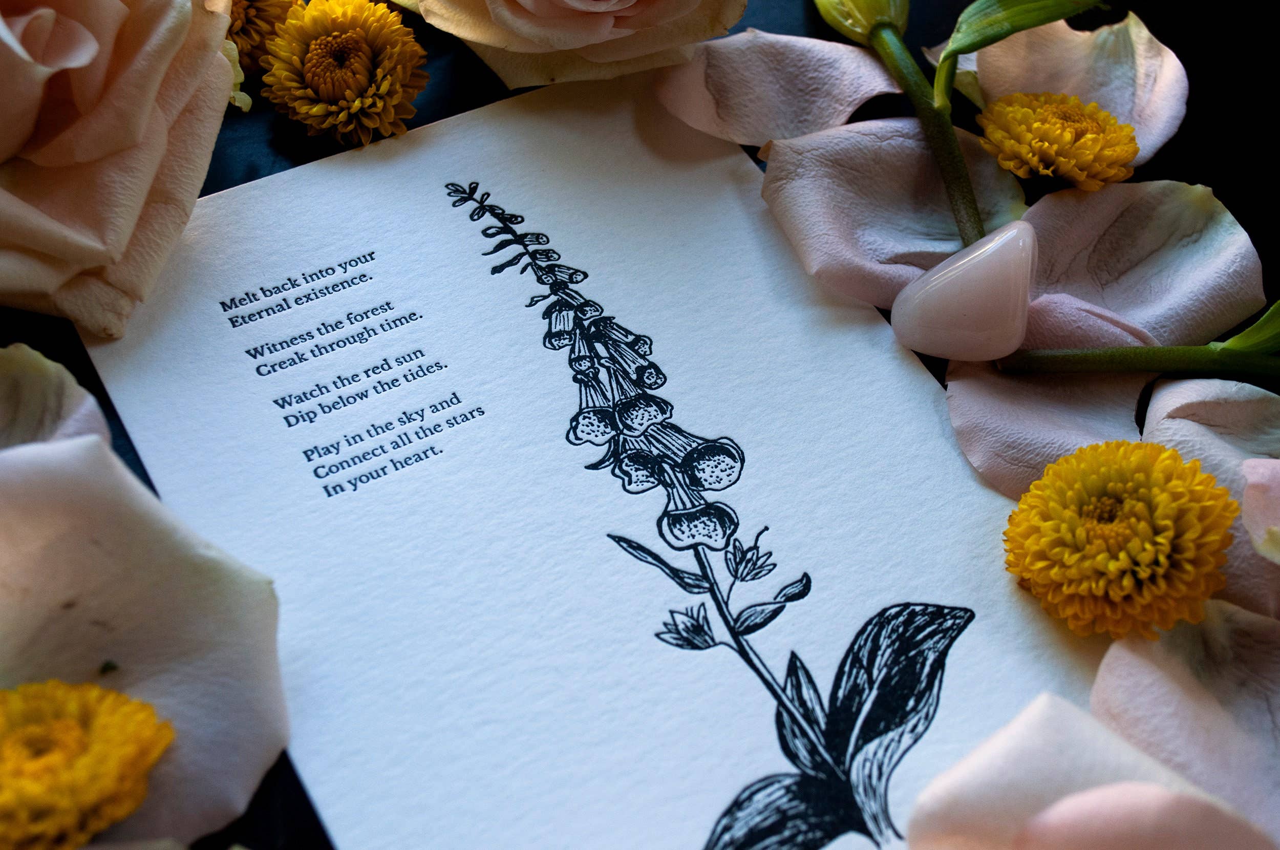 Foxglove Letterpress Print - Image 4