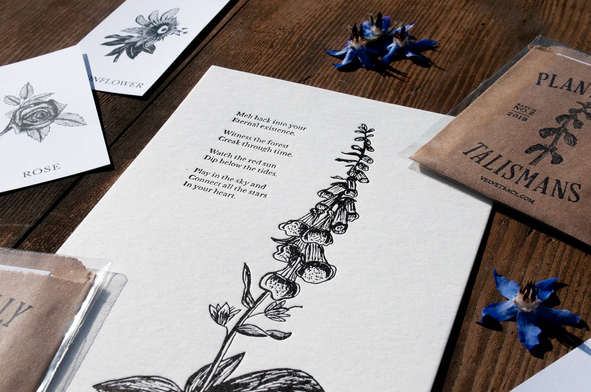 Foxglove Letterpress Print - Image 8