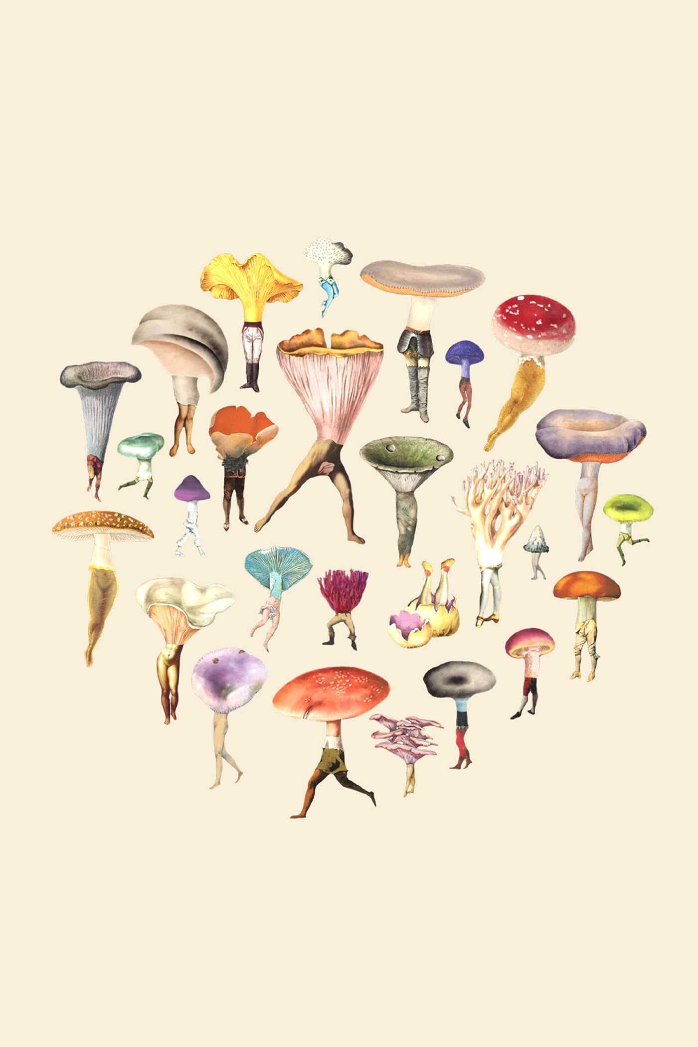 Fungi Collection Note Card Set - Image 4