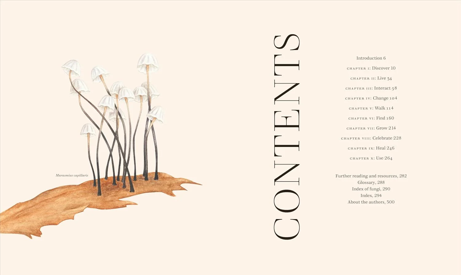 Fungi: Discover the Science and Secrets behind the World of Mushrooms - Image 2