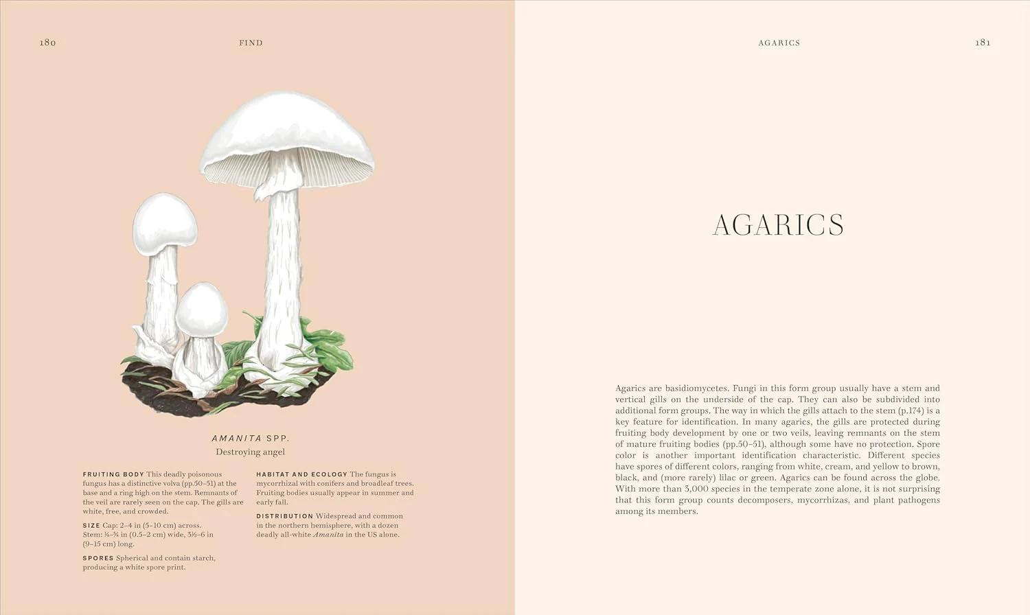 Fungi: Discover the Science and Secrets behind the World of Mushrooms - Image 5