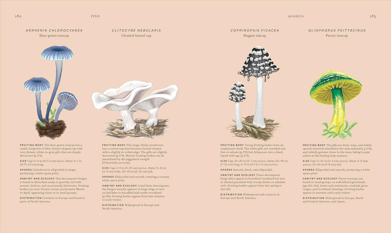 Fungi: Discover the Science and Secrets behind the World of Mushrooms - Image 6