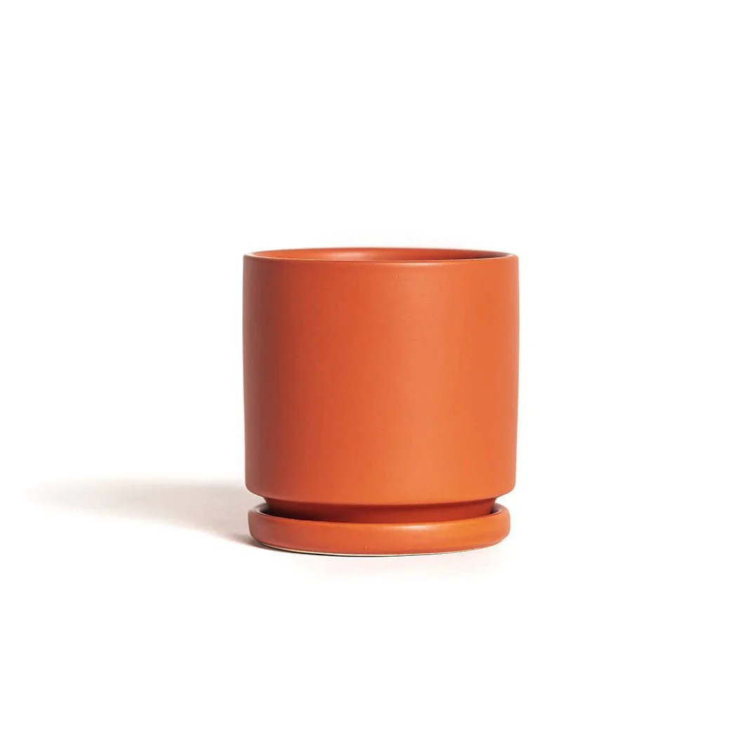 Gemstone Pots + Water Saucers - Image 2