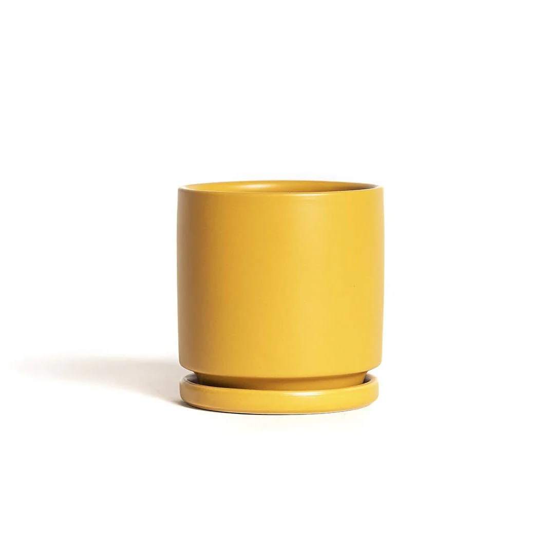 Gemstone Pots + Water Saucers - Image 3