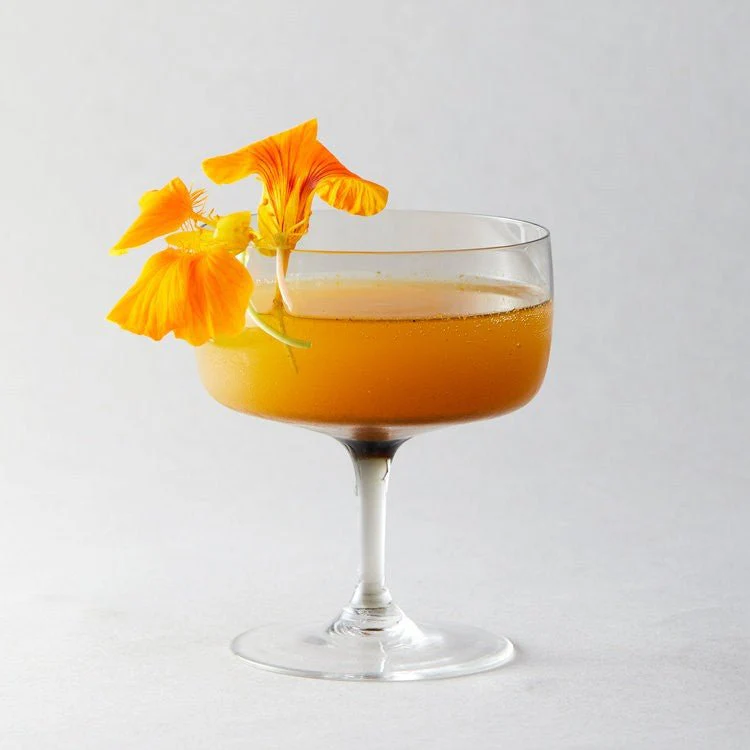 Ginger Spice Mule Mixer - Image 3