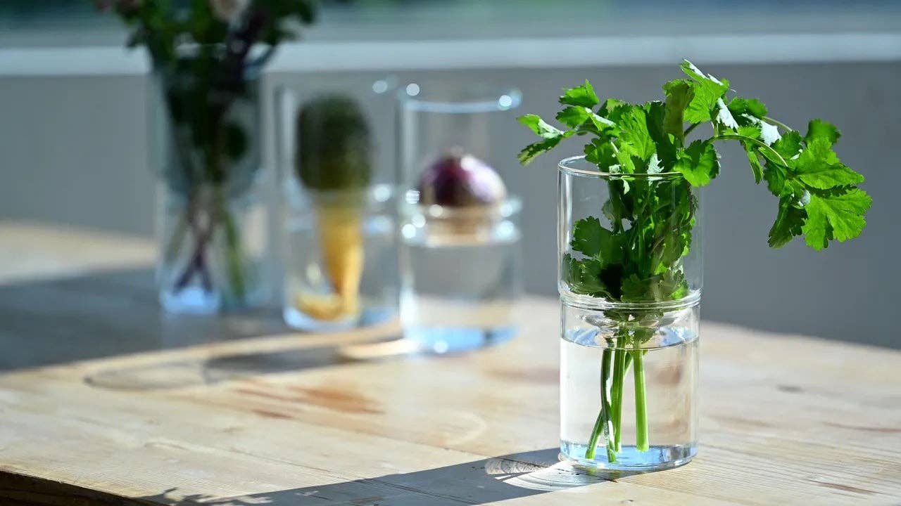 Glass Flower Vase - Image 13