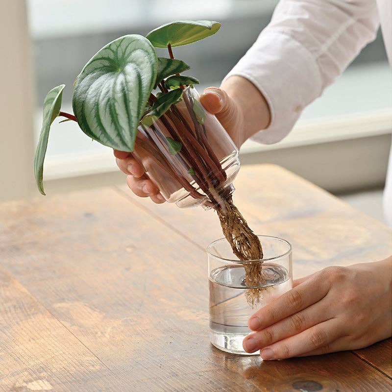 Glass Flower Vase - Image 4
