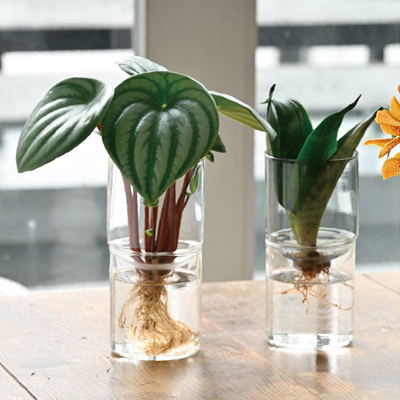 Glass Flower Vase - Image 6