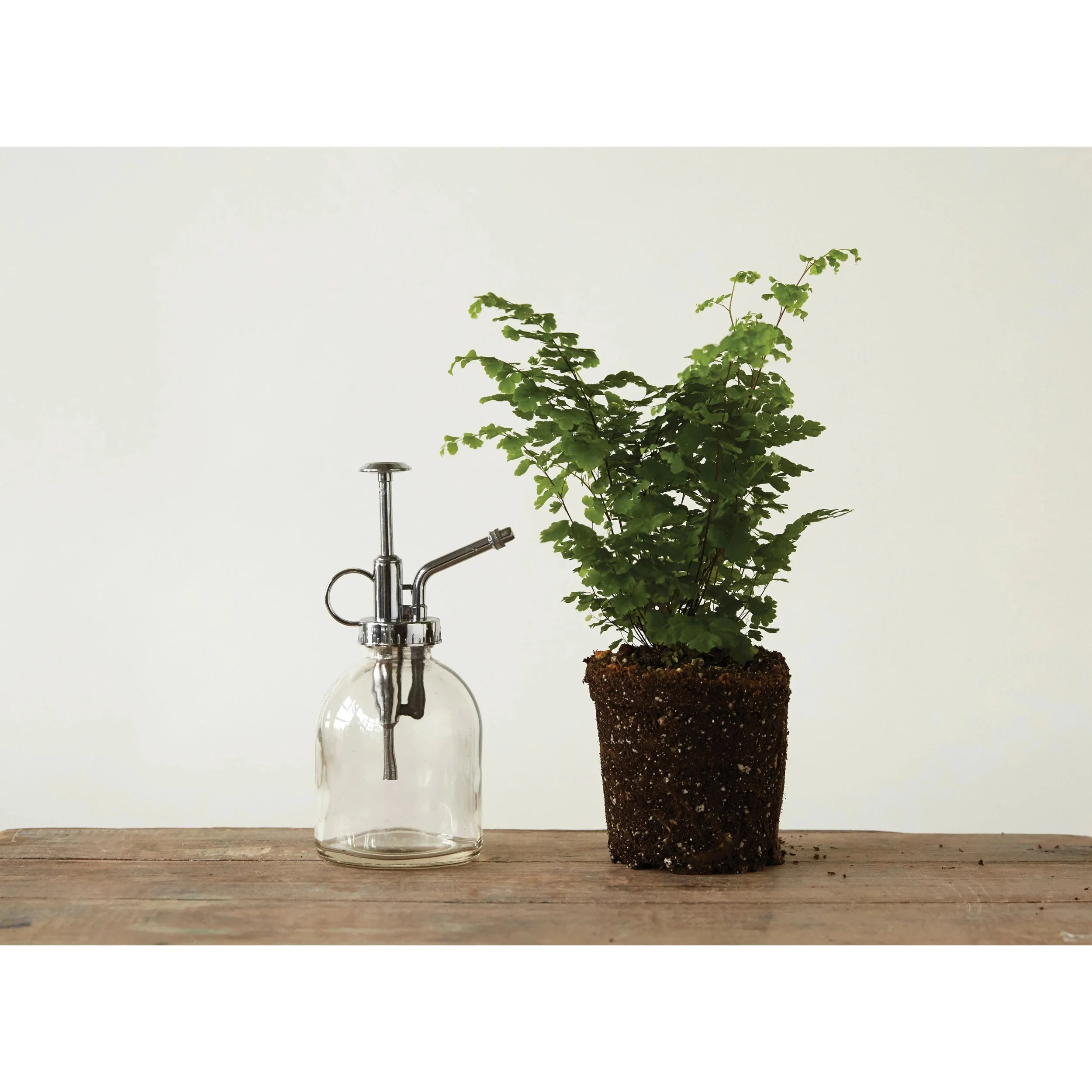 Glass Plant Mister - Image 2