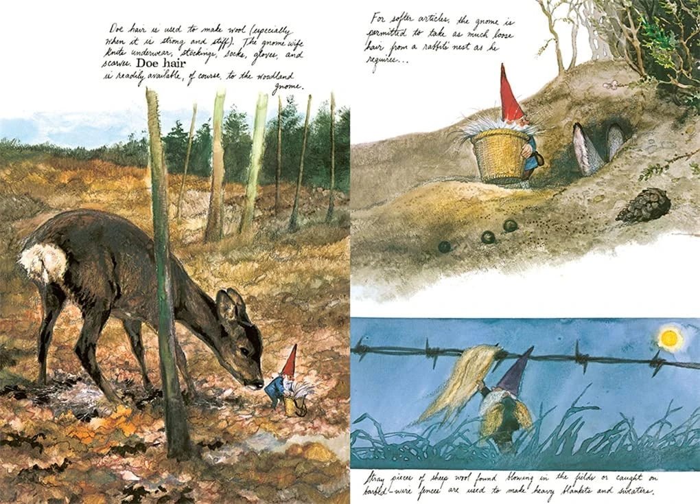 Gnomes - Image 4