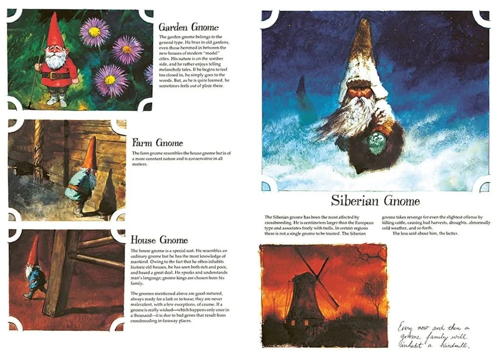 Gnomes - Image 5
