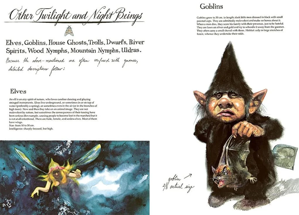 Gnomes - Image 6