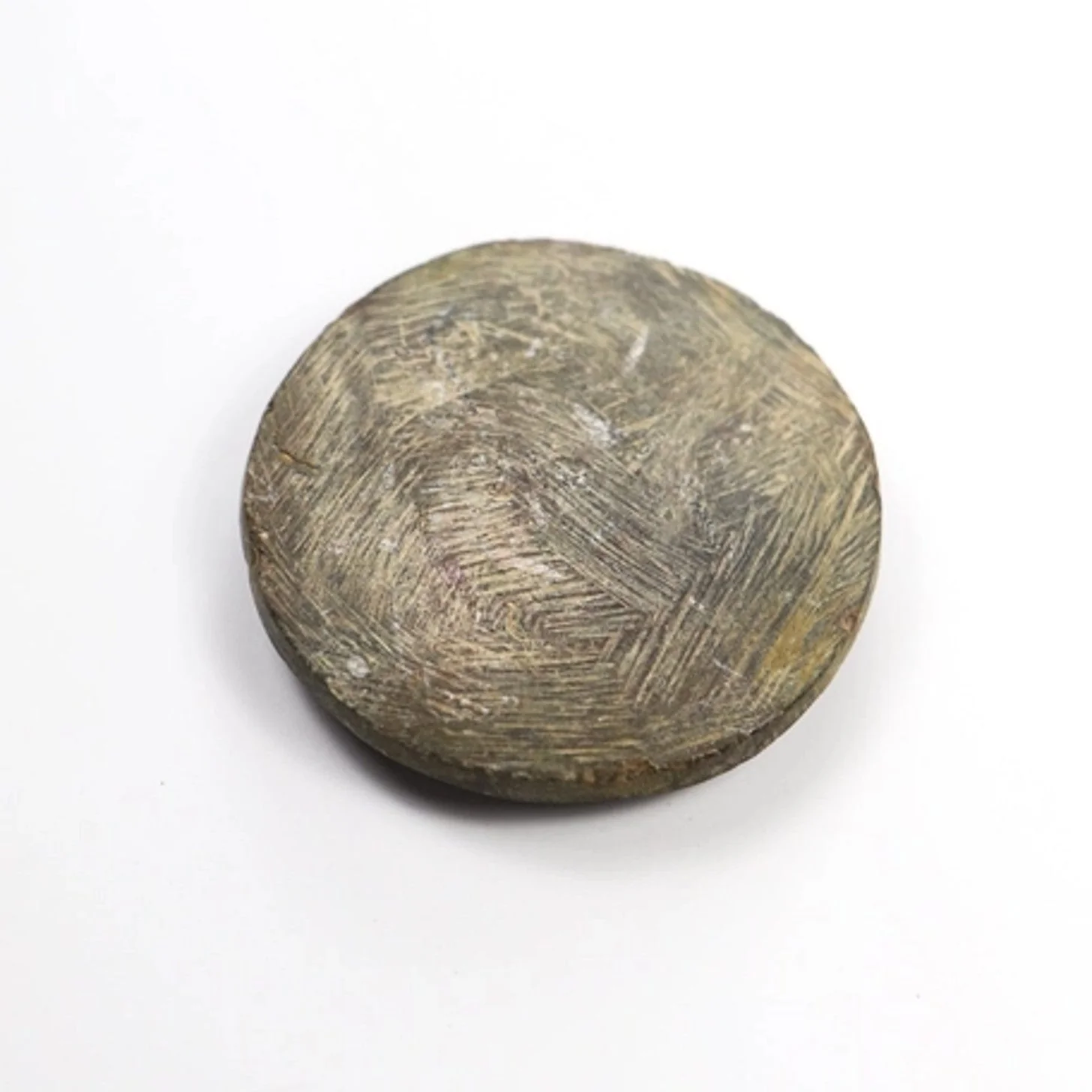 Goniatite Fossil - Image 4