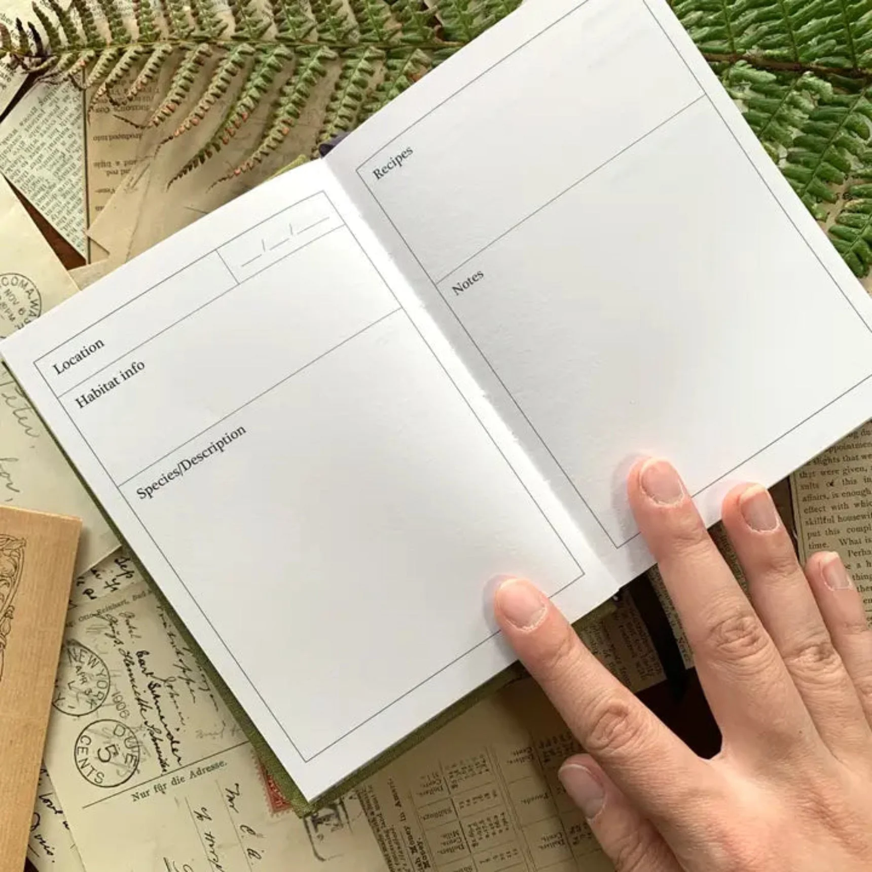 Forage: A Field Journal - Image 2