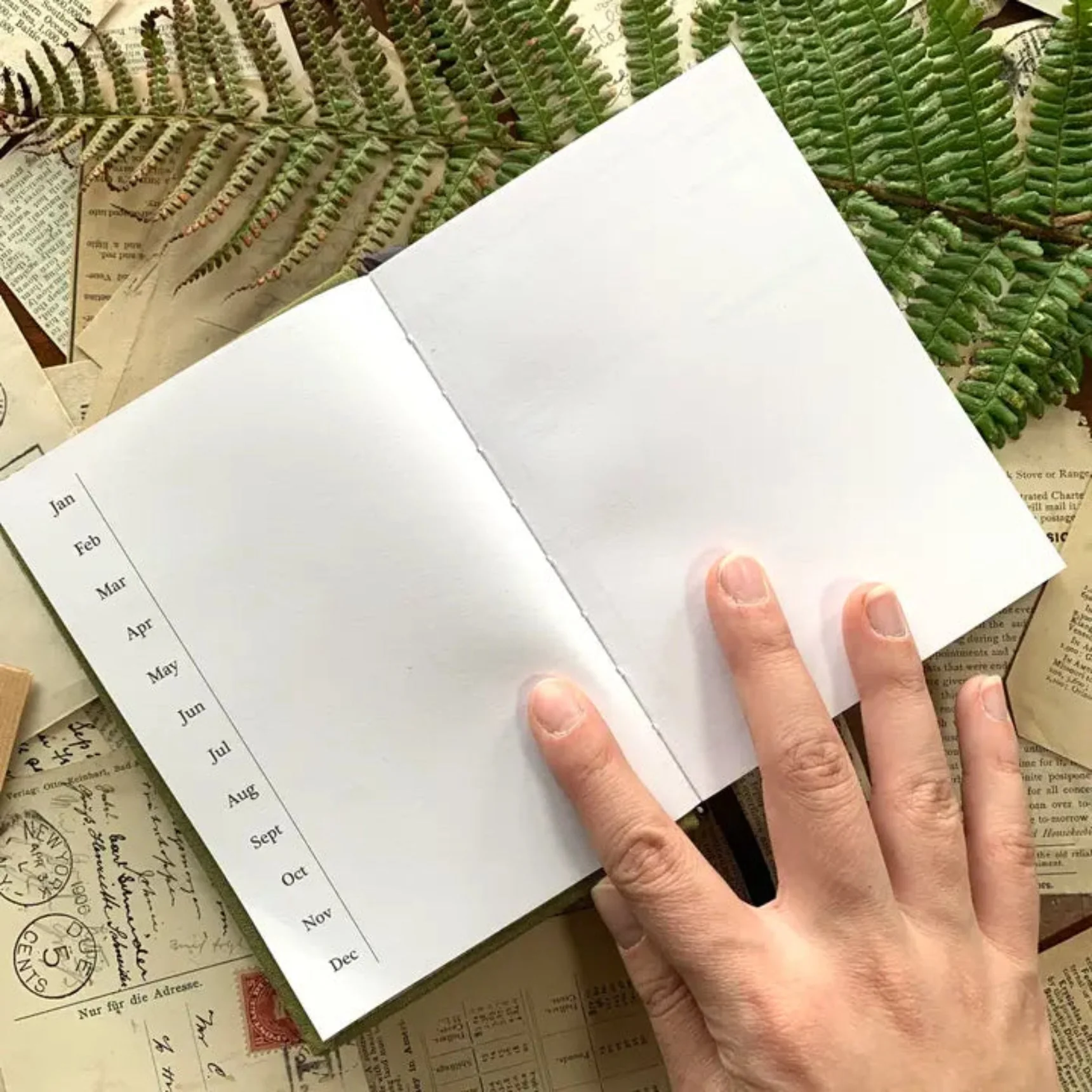 Forage: A Field Journal - Image 3