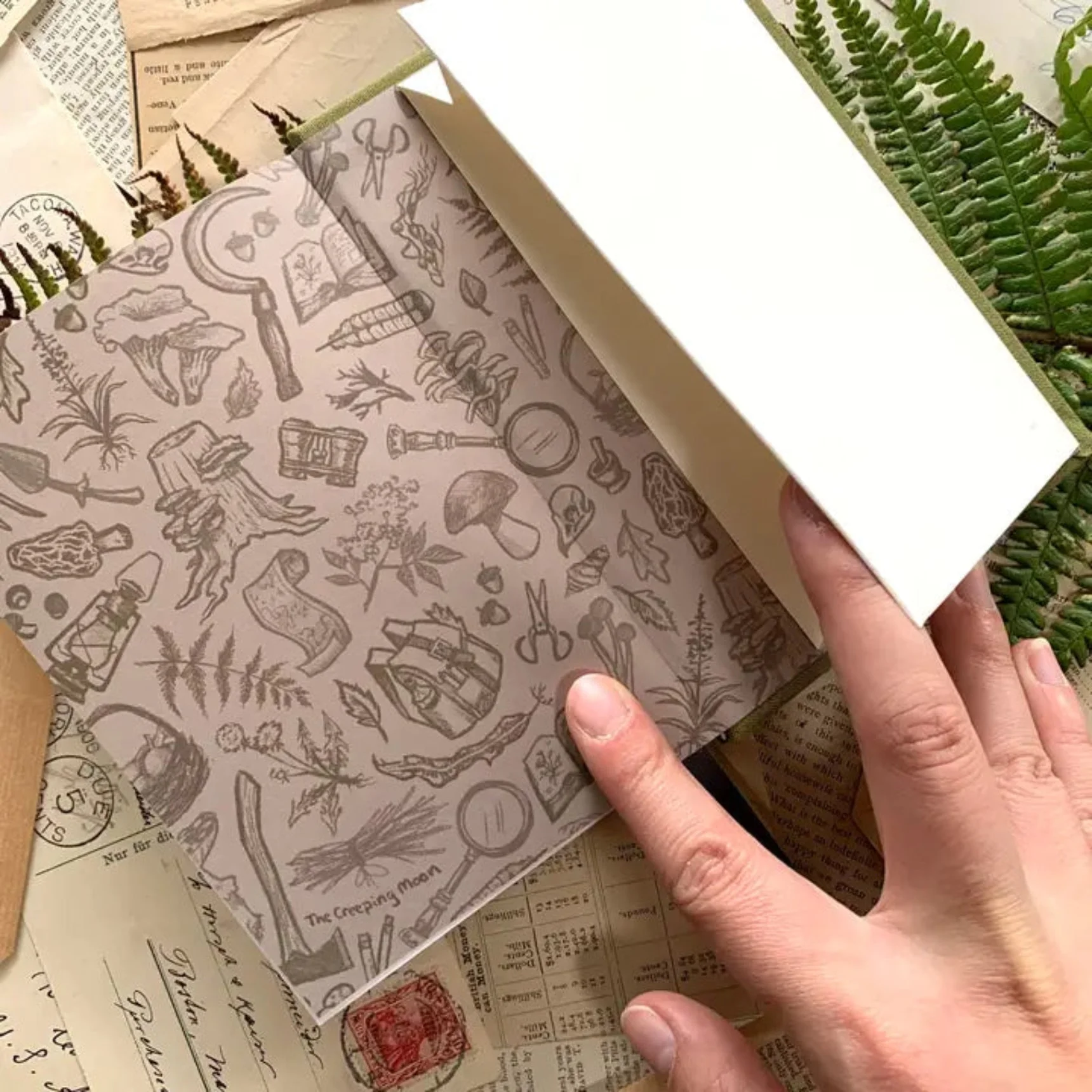 Forage: A Field Journal - Image 4