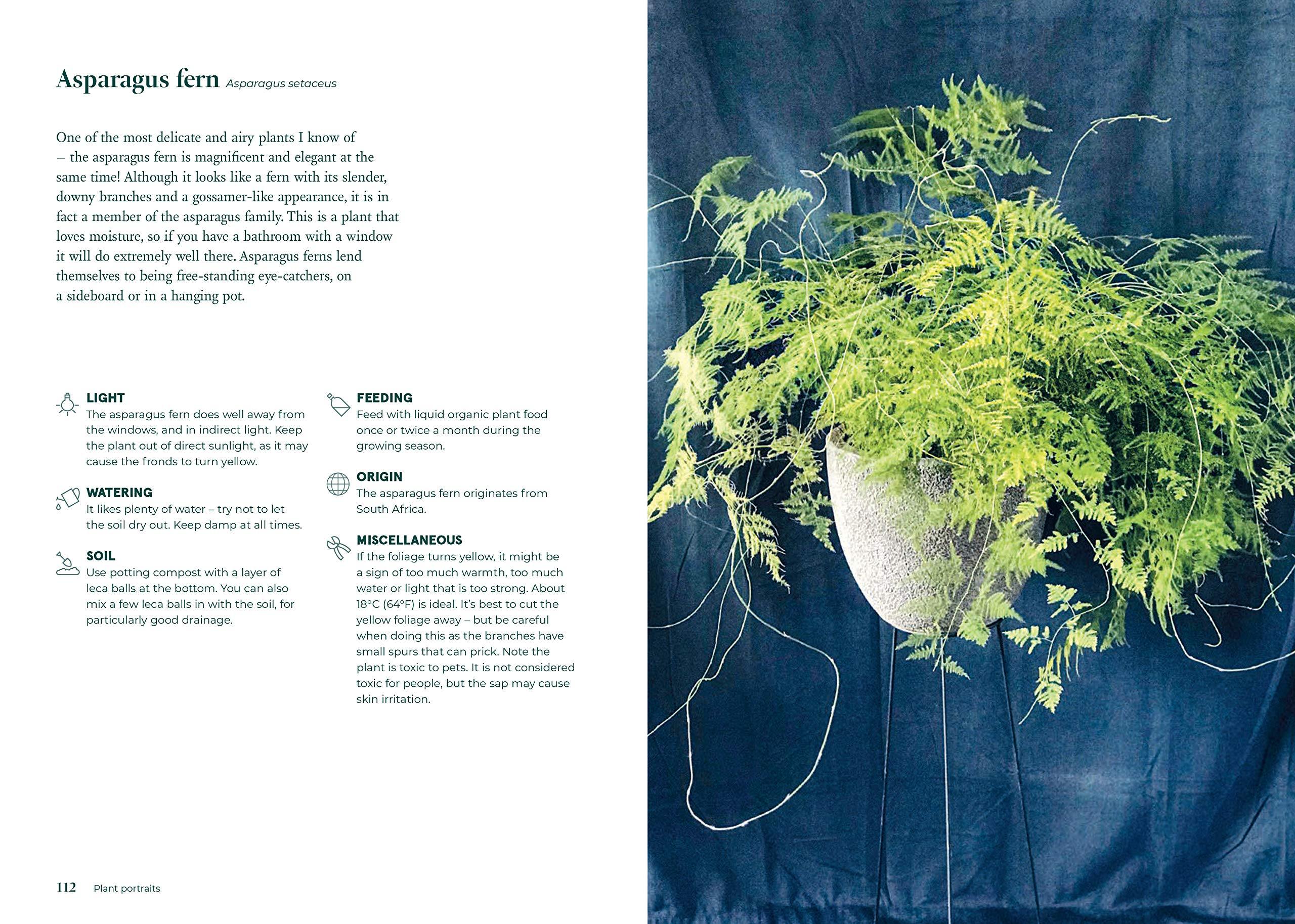 Green Home - Image 2