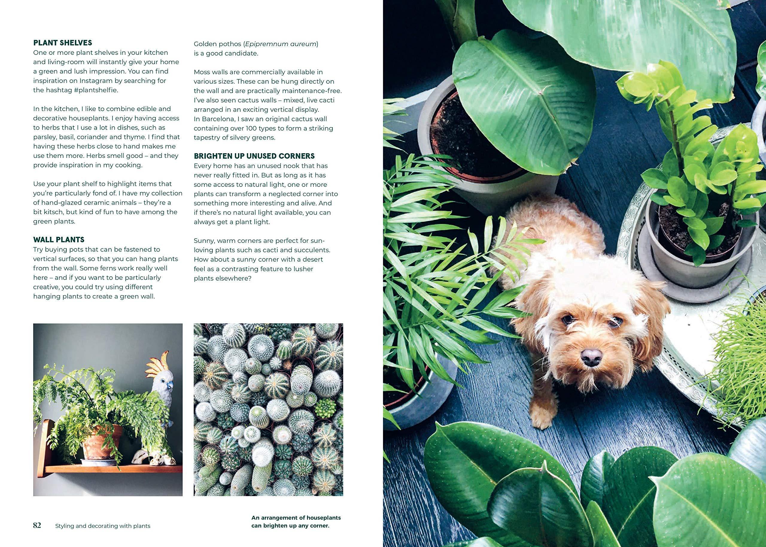 Green Home - Image 3