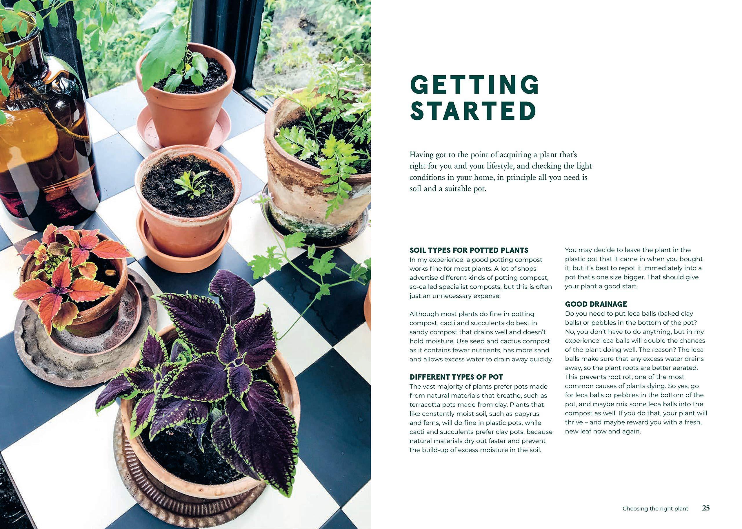 Green Home - Image 4