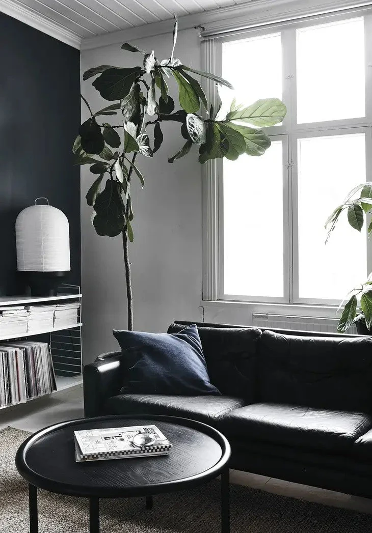 Green Home Book - Image 2