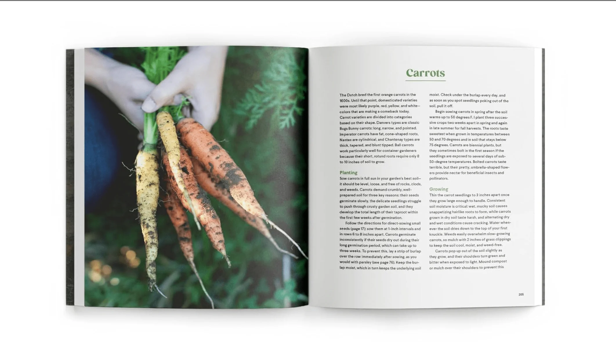 Grow Cook Eat: A Food Lover's Guide to Vegetable Gardening - Image 3