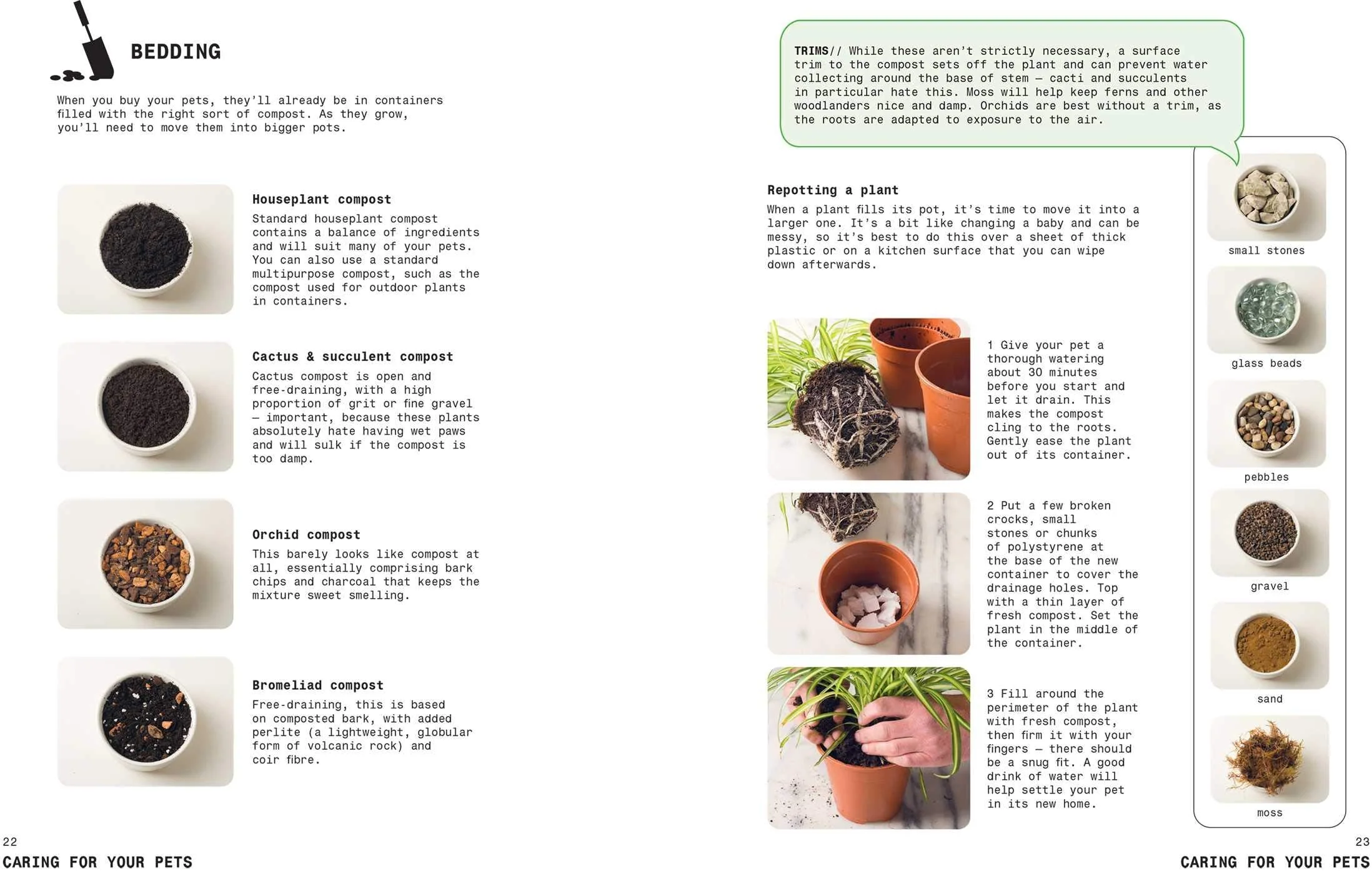 Grow Your Own Pet Plants - Image 2